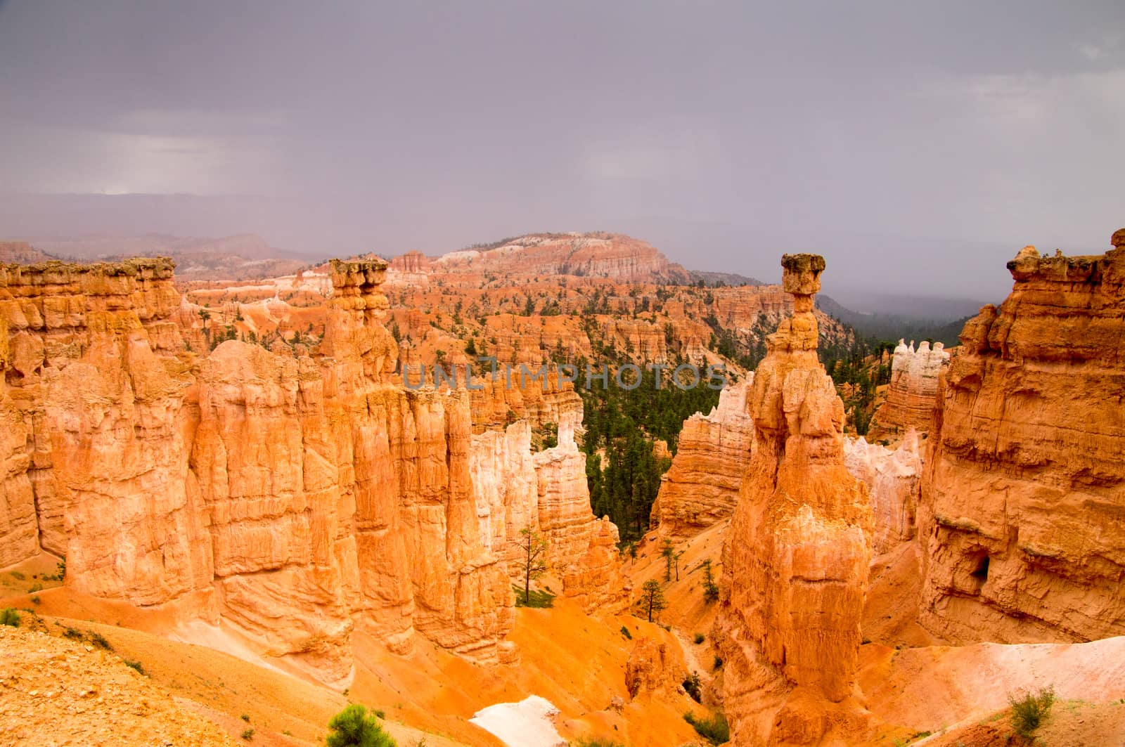 Bryce Canyon National Park, Utah USA in the rain