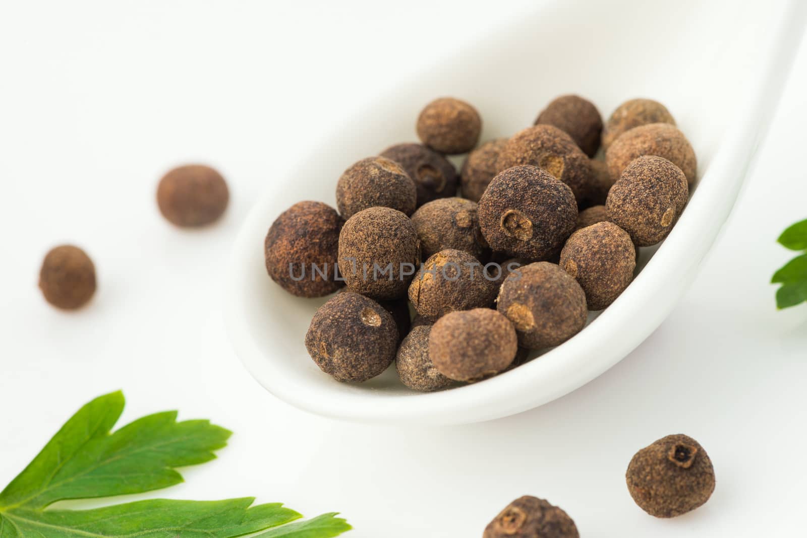 allspice in a white ceramic spoon and parsley leaves closeup