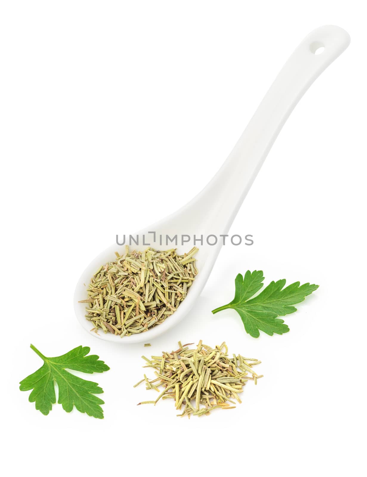 Dried rosemary in a white ceramic spoon isolated on a white background. Condiments, Spices, Herbs