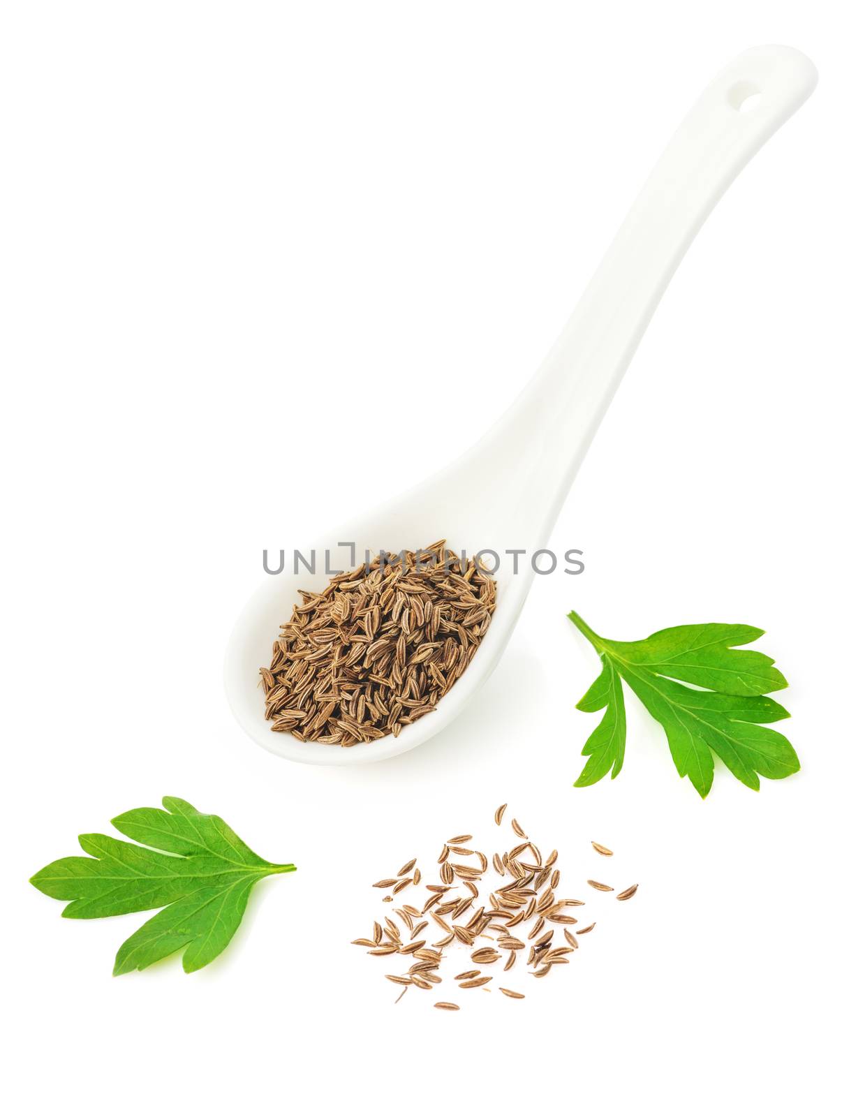 Dried seeds of cumin in a white ceramic spoon, parsley leaves isolated on white background