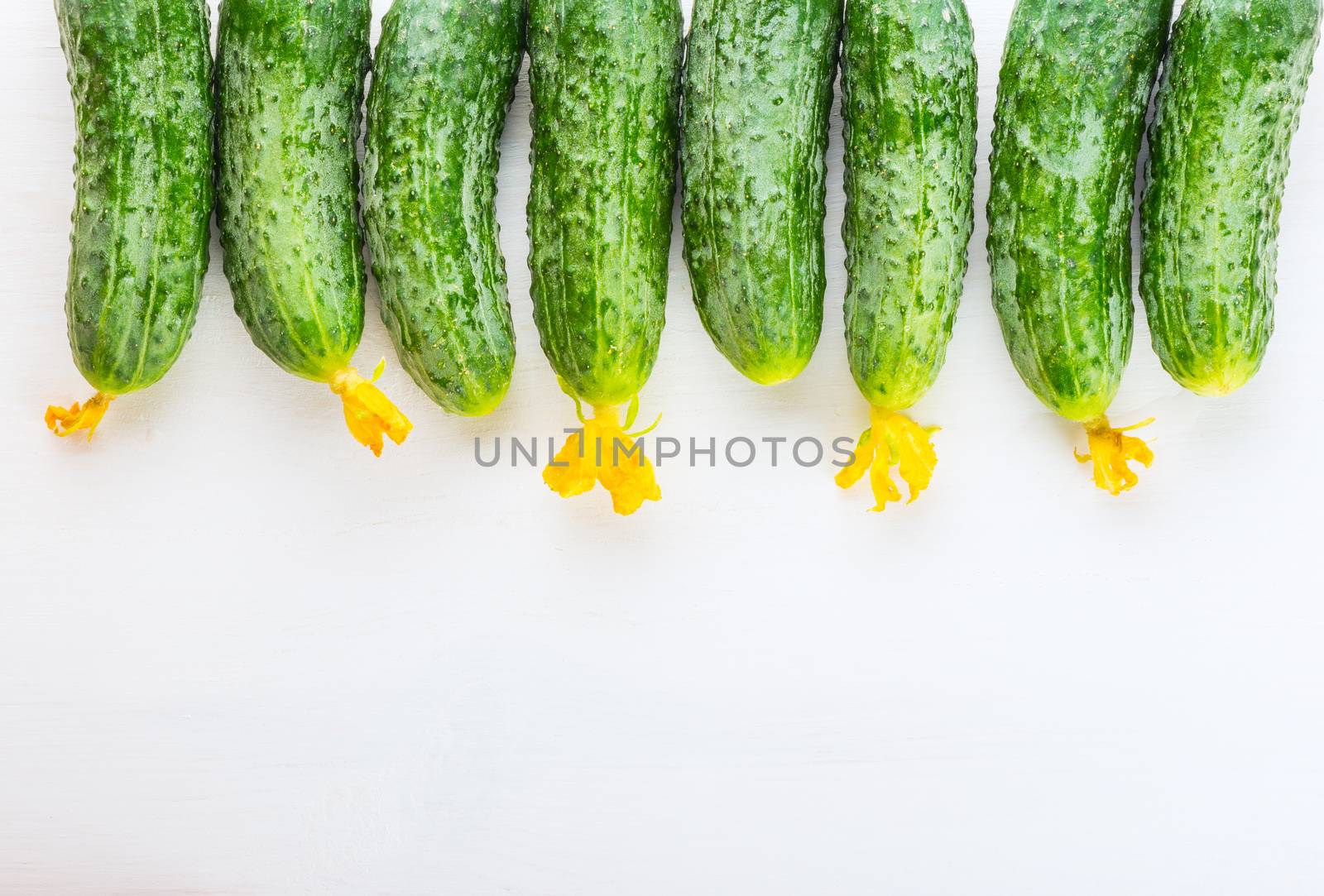 Group of fresh village cucumbers on a white wooden background, close up, top view 