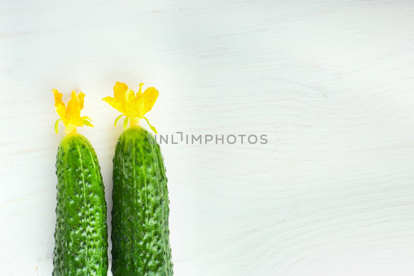 Two fresh cucumbers with flowers on white wooden background