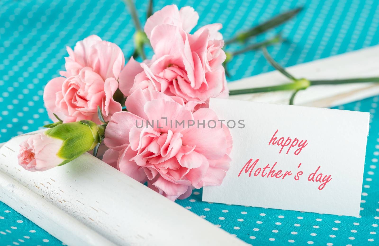 Greeting card with pink carnations by iprachenko