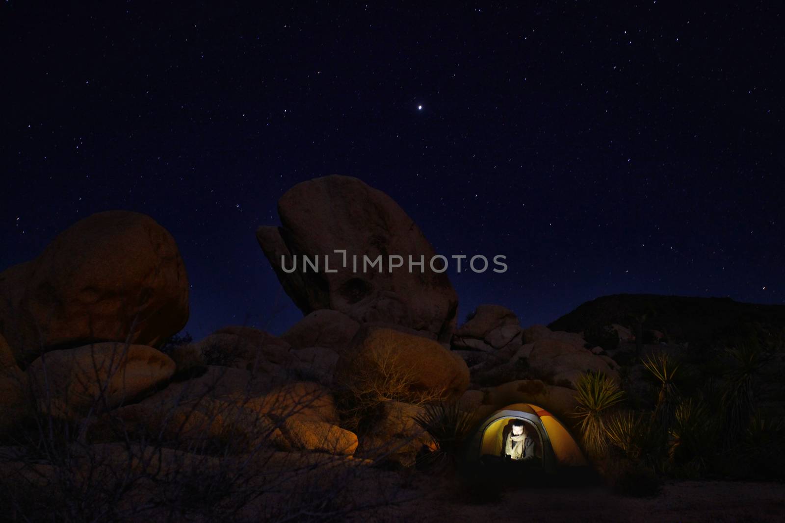 Tent Camping at Night in Joshua Tree Park