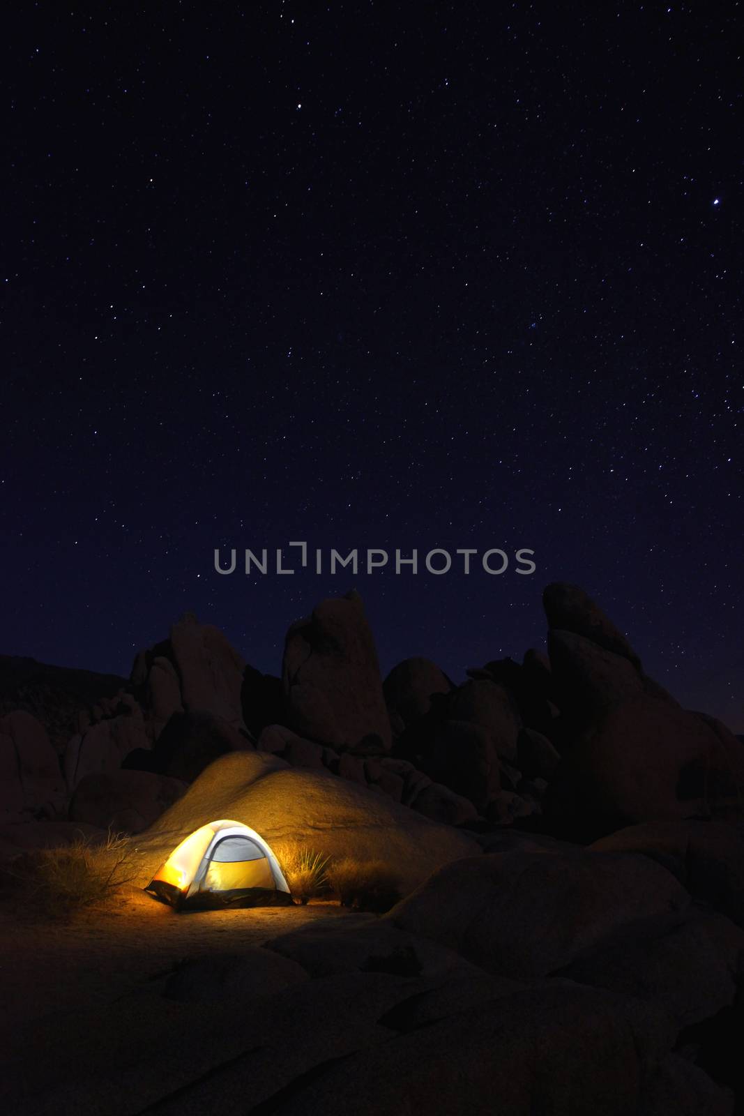 Camping at Night in Joshua Tree Park by tobkatrina