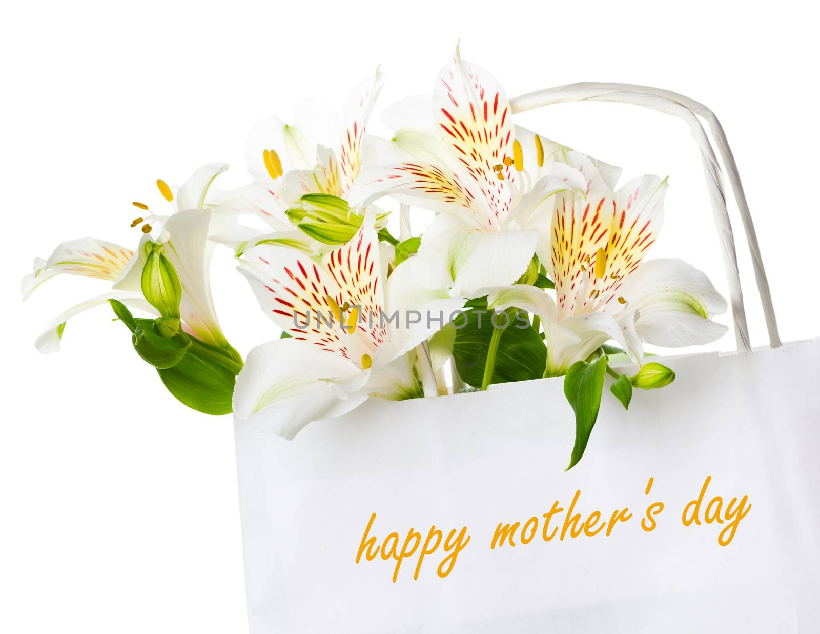 Beautiful bouquet of white  alstroemeria flowers in a paper bag with the inscription happy mother's day, greeting concept