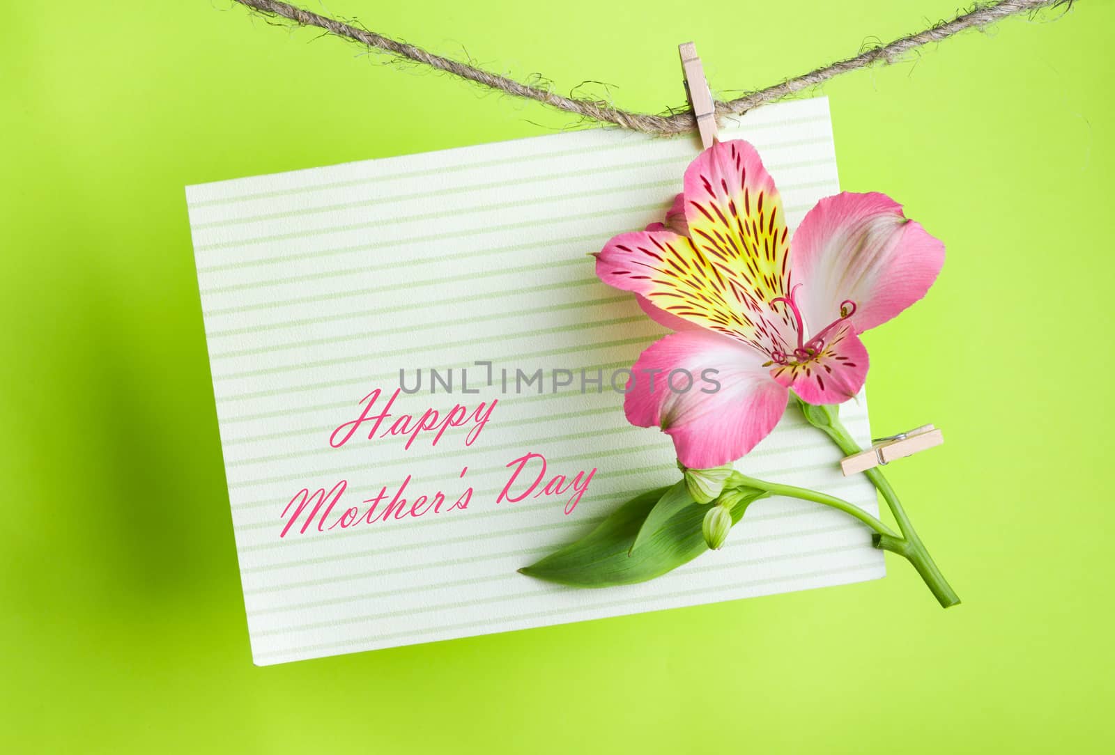 pink Alstroemeria and a greeting card with the text Happy Mothers Day on a rope with clothespins against a bright green  background, greeting and love concept,