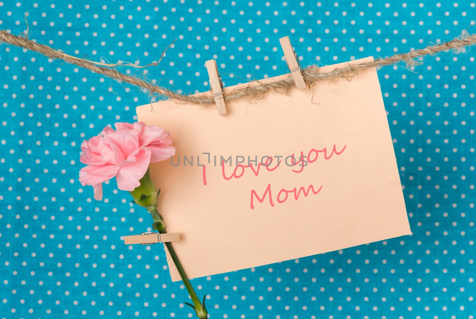 greeting card to Mother's Day with pink carnation and the inscription I love you Mom, greeting and love concept, Congratulations on March 8