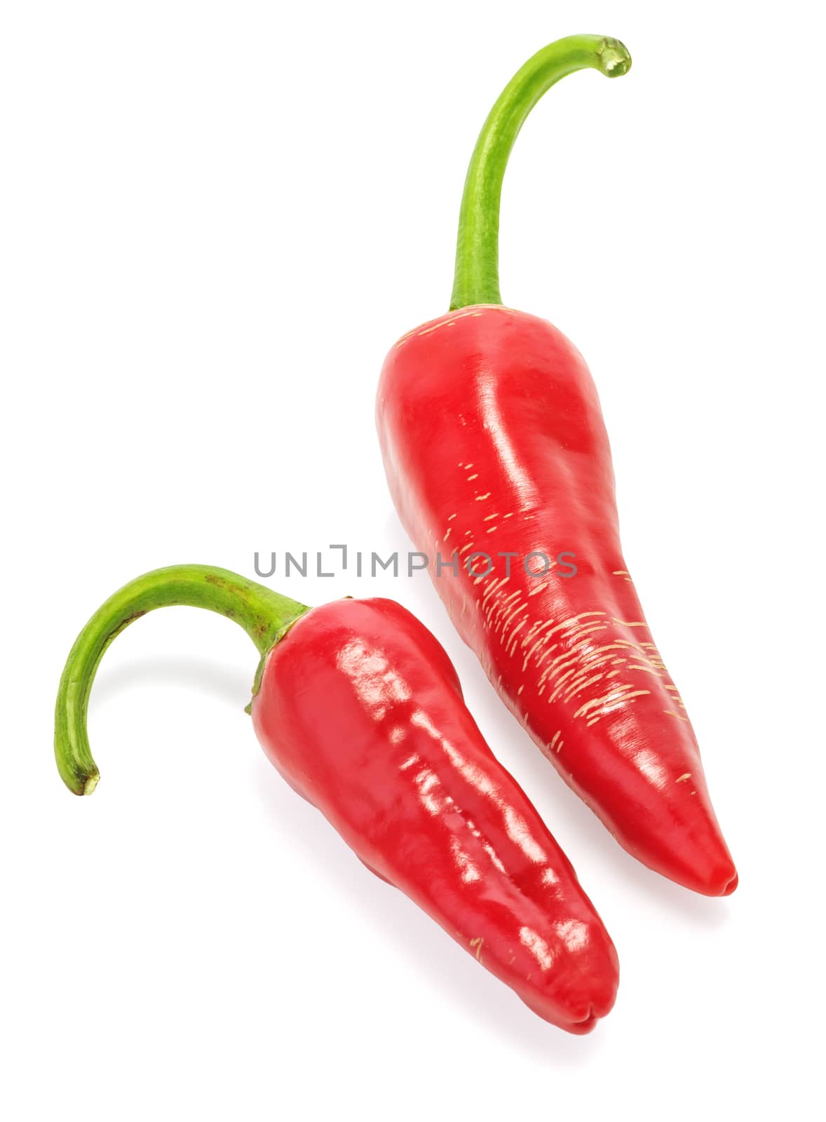 Two red hot chilli peppers isolated on white background