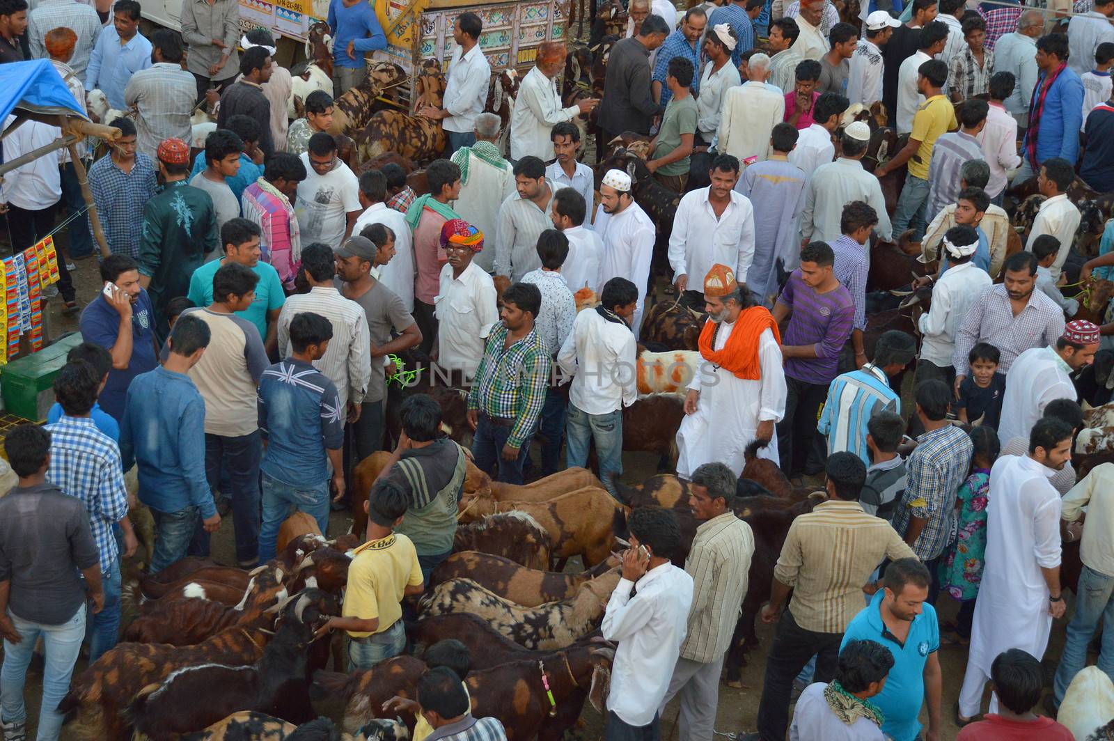 INDIA, Ajmer: Preparations for the upcoming Eid al-Adha festival continue in Rajasthan, India on September 22, 2015, drawing scores of Muslims to the main goat and sheep market in Ajmer.Also known as the Festival of Sacrifice, the three-day holiday marks the end of the annual pilgrimage to Mecca and commemorates the willingness of the Prophet Ibrahim to sacrifice his son, Ismail, on God's command.
