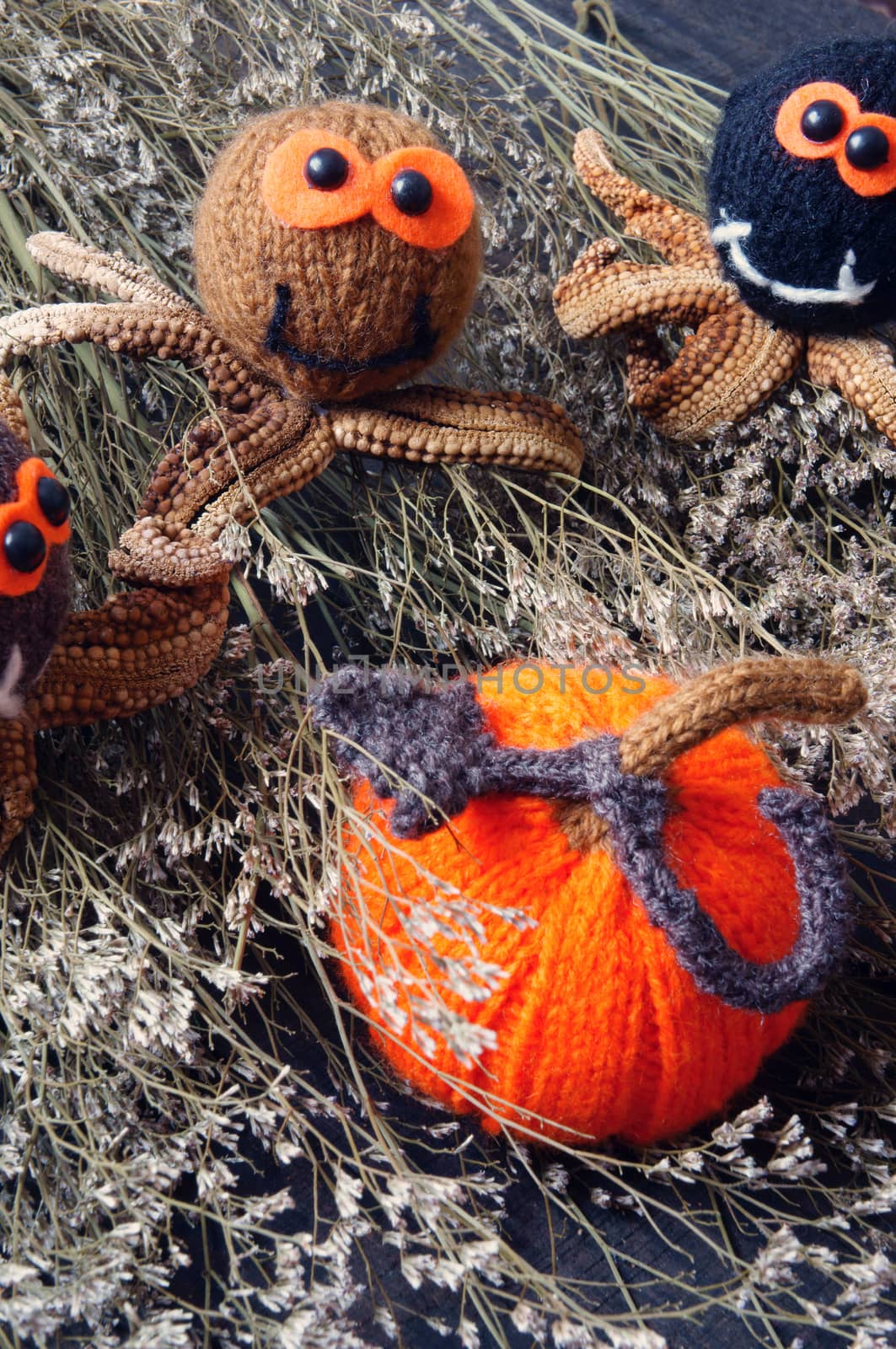 Halloween background, handmade, pumpkin, spider, october by xuanhuongho