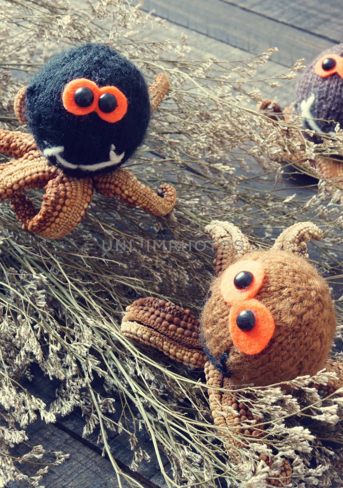 Halloween background, handmade, pumpkin, spider, october by xuanhuongho