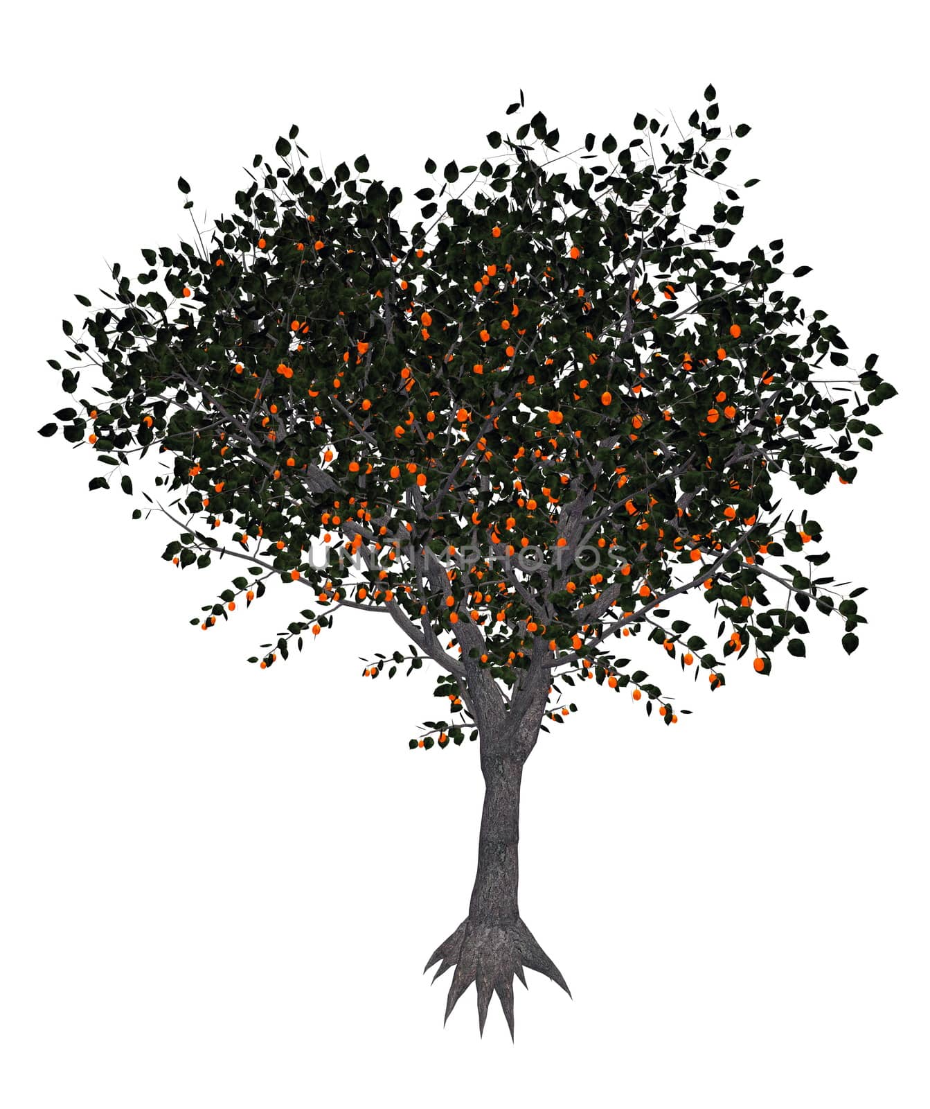 Apricot tree - 3D render by Elenaphotos21