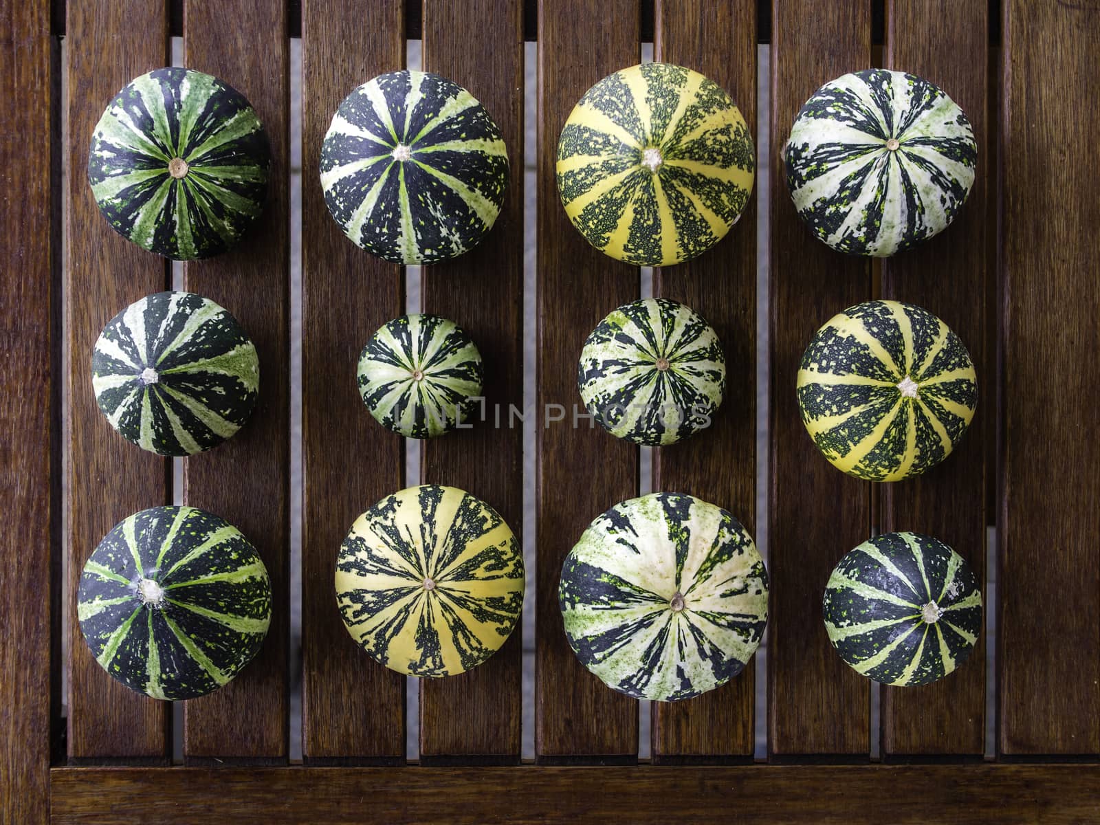 Still life with variety of green and yellow pumpkins cucurbita pepo organized on wooden table, useable as seasonal autumn harvest Halloween housing decoration illustration