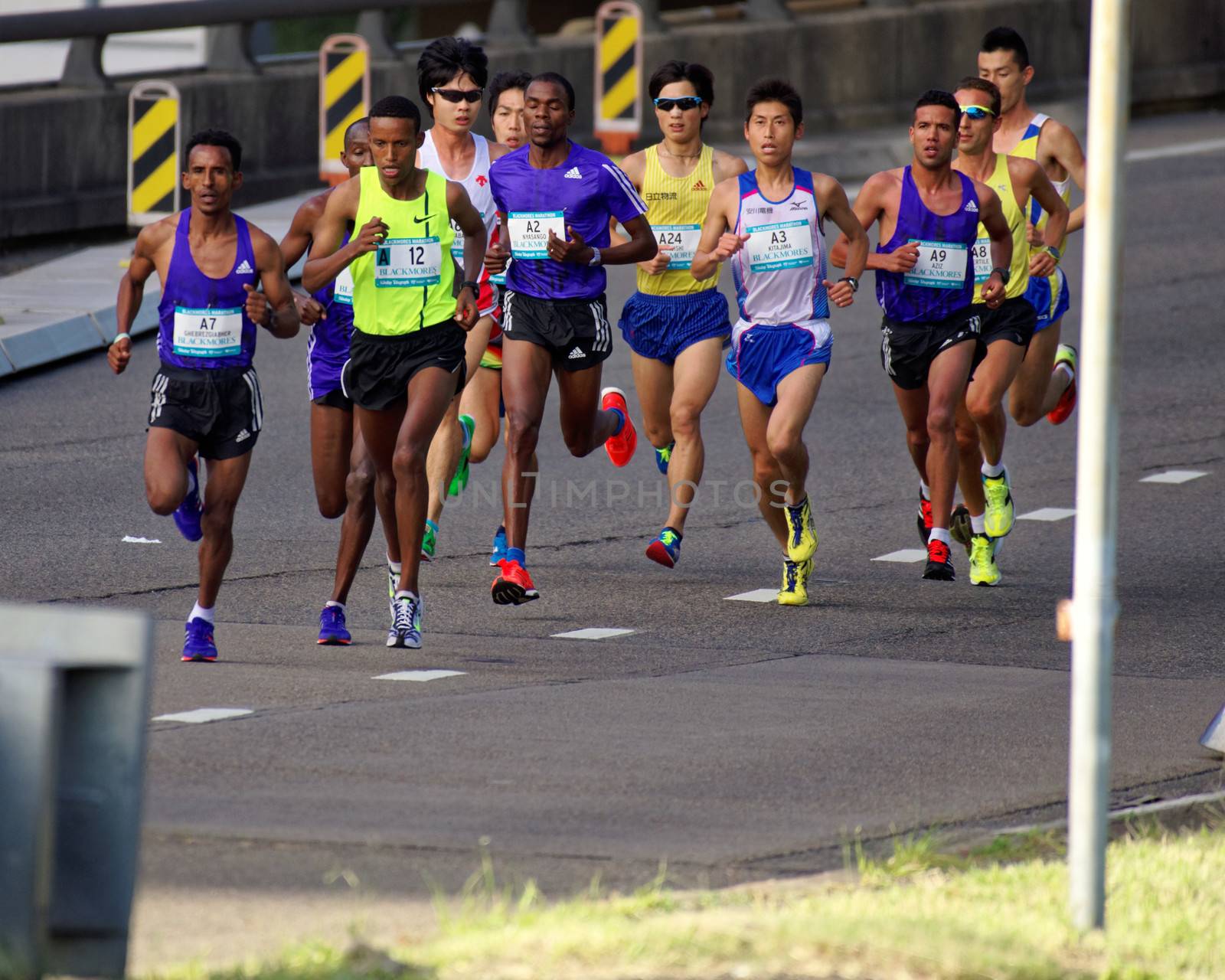 AUSTRALIA, Sydney: Elite marathon runners compete in the Sydney Marathon as part of the Sydney Running Festival on September 20, 2015. Around 30,000 participants took part in the 15th Sydney Running Festival which incorporates a 42km marathon, a half marathon, a 9km bridge run as well as a 3.5km family fun run