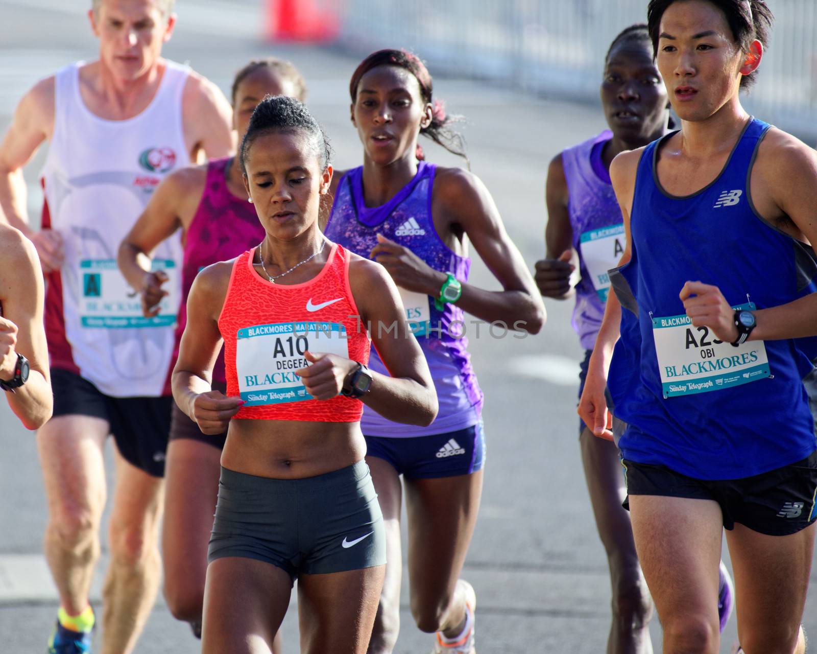 SYDNEY - MARATHON - SYDNEY RUNNING FESTIVAL 2015 by newzulu