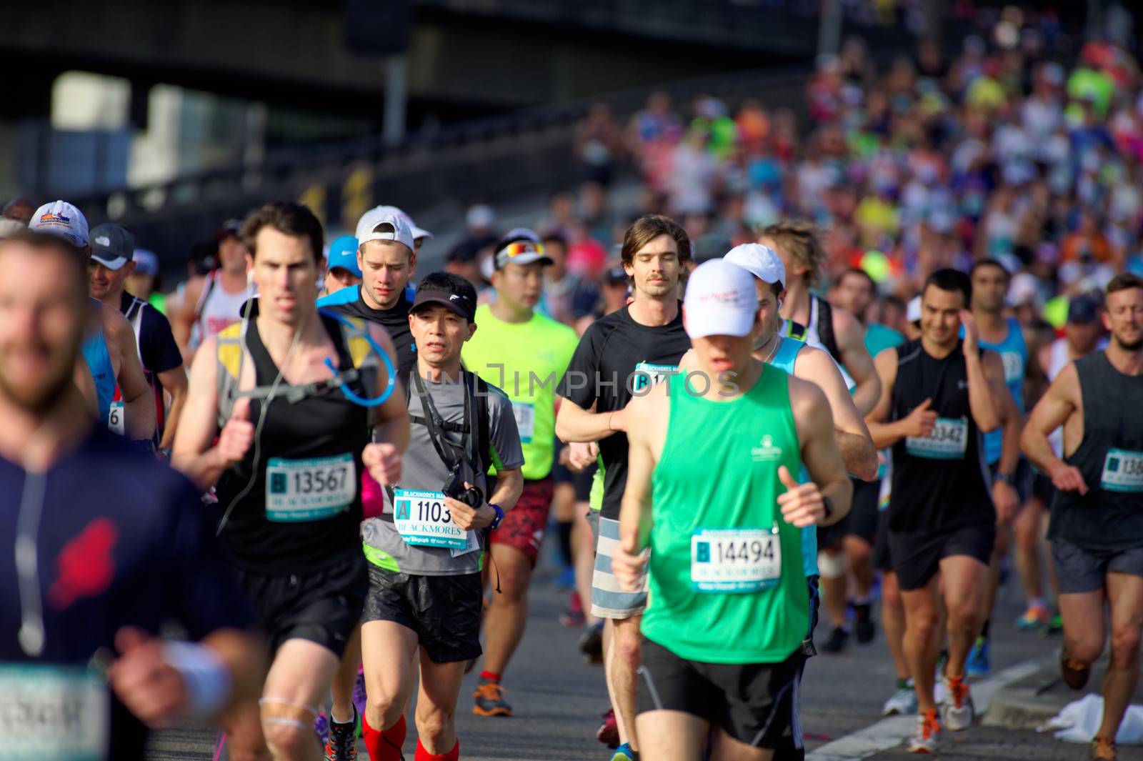 AUSTRALIA, Sydney: Participants compete in the Sydney Running Festival on September 20, 2015. Around 30,000 participants took part in the 15th Sydney Running Festival which incorporates a 42km marathon, a half marathon, a 9km bridge run as well as a 3.5km family fun run