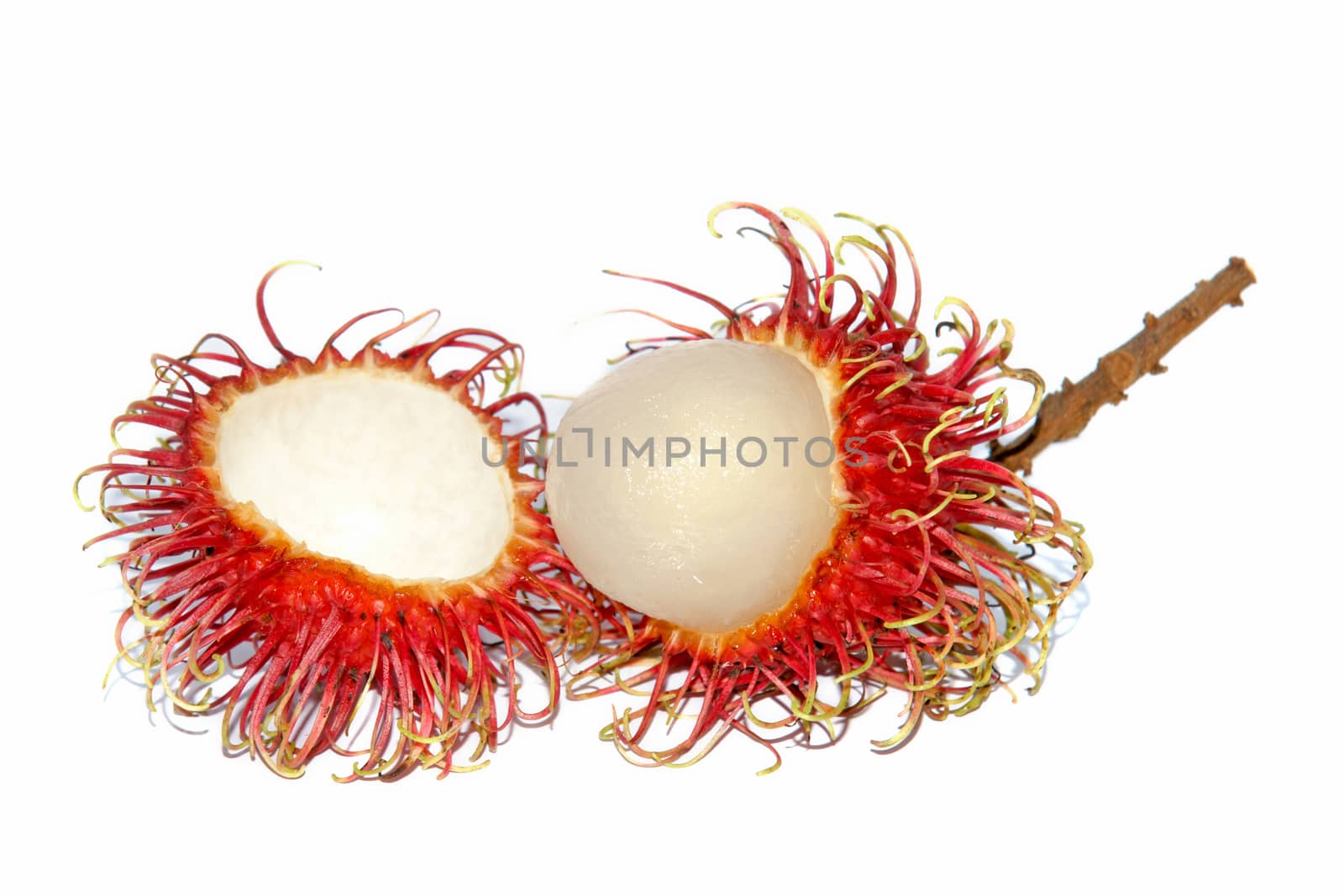 Group of fresh rambutan fruit on white background. by mranucha