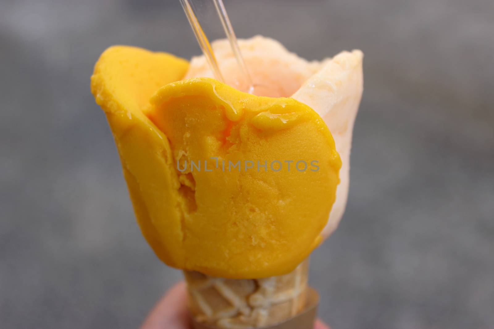 Delicious ice cream mango and melon. Shape of a flower