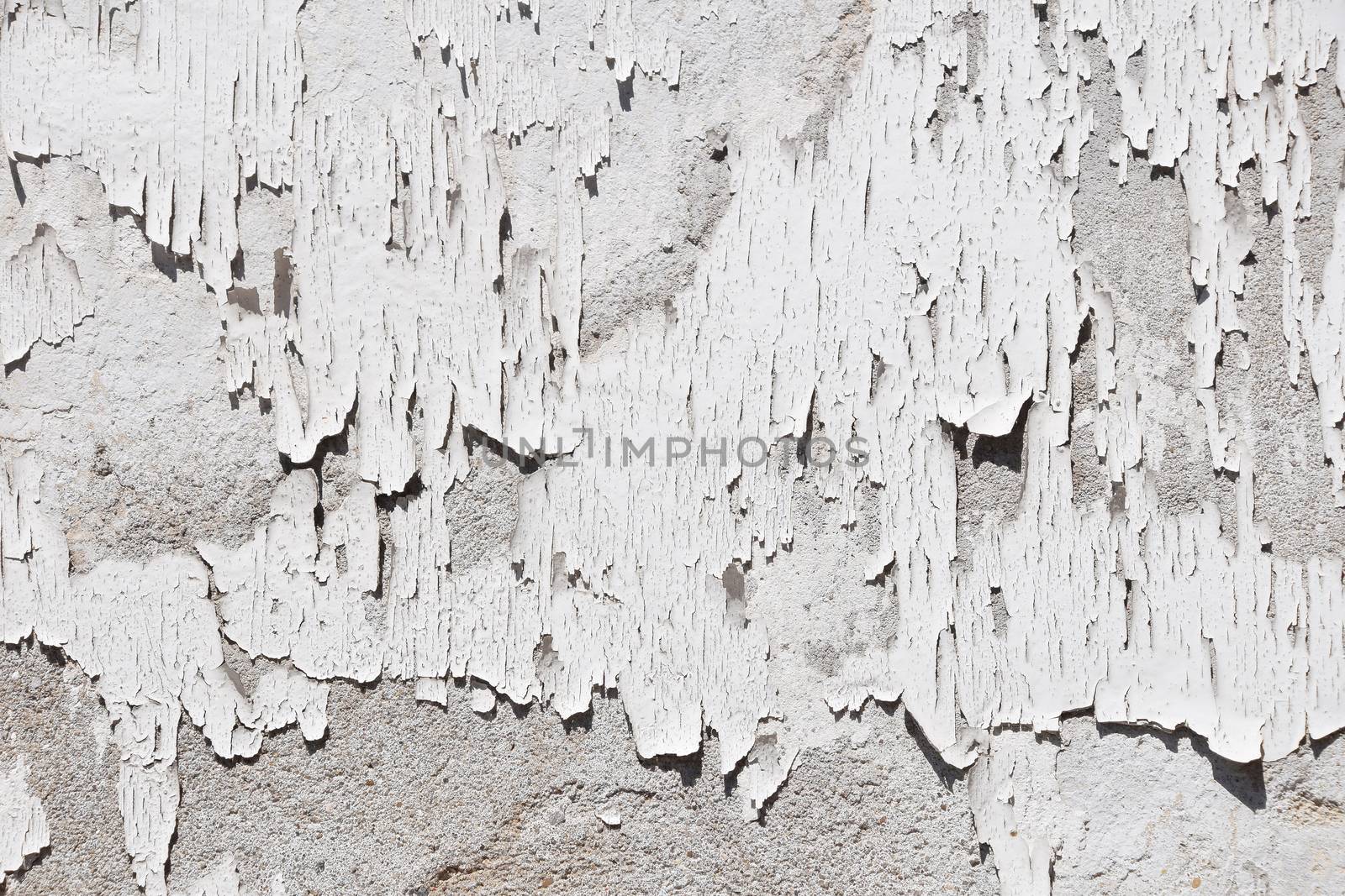 Vintage flakes of old white paint on grey concrete wall by BreakingTheWalls