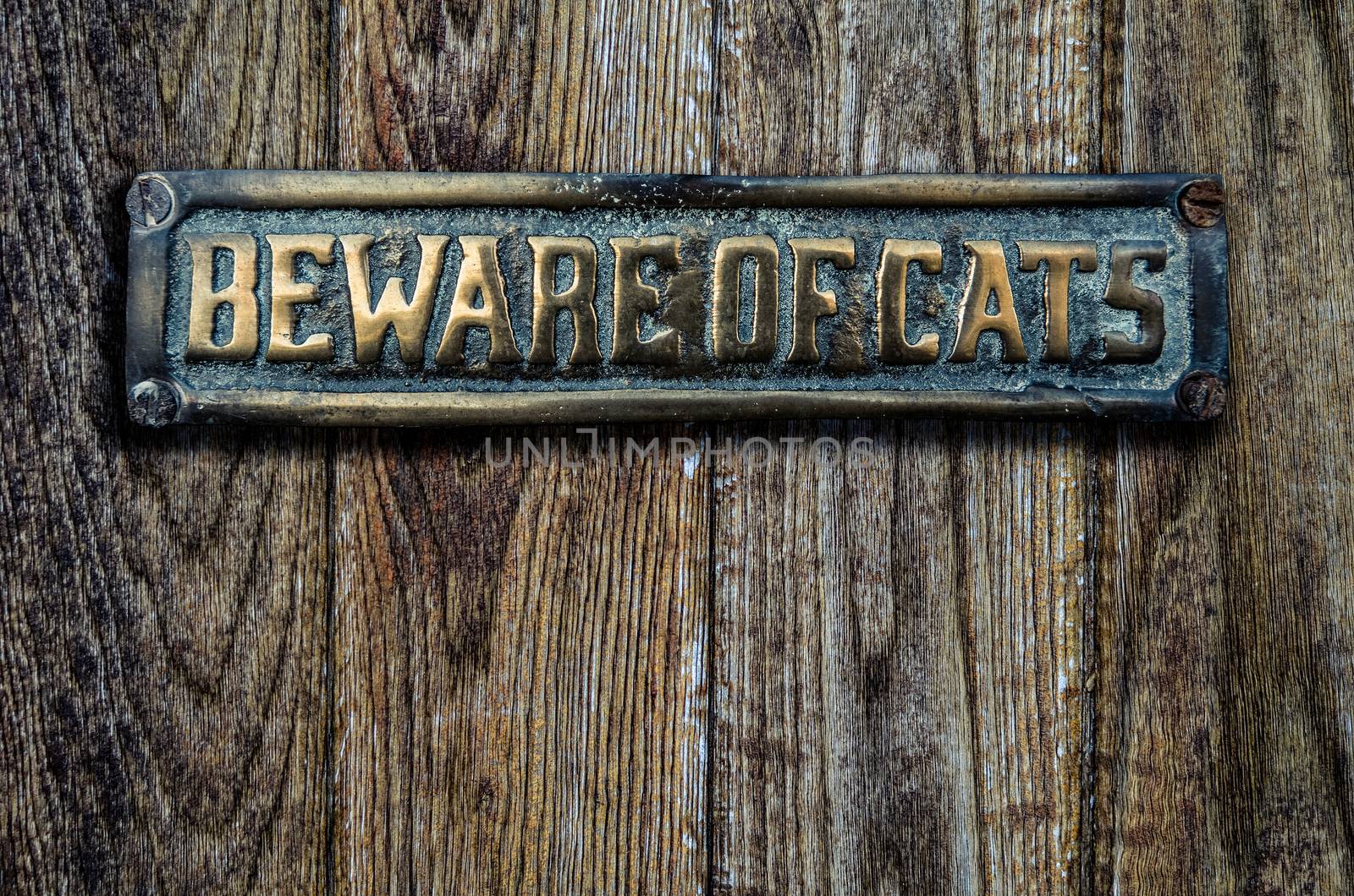 Beware Of Cats Sign On Wooden Door by mrdoomits