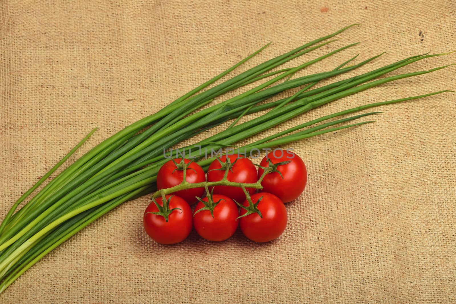 Bunch of six red ripe cherry tomato and fresh spring bunching onion shots at jute canvas burlap background