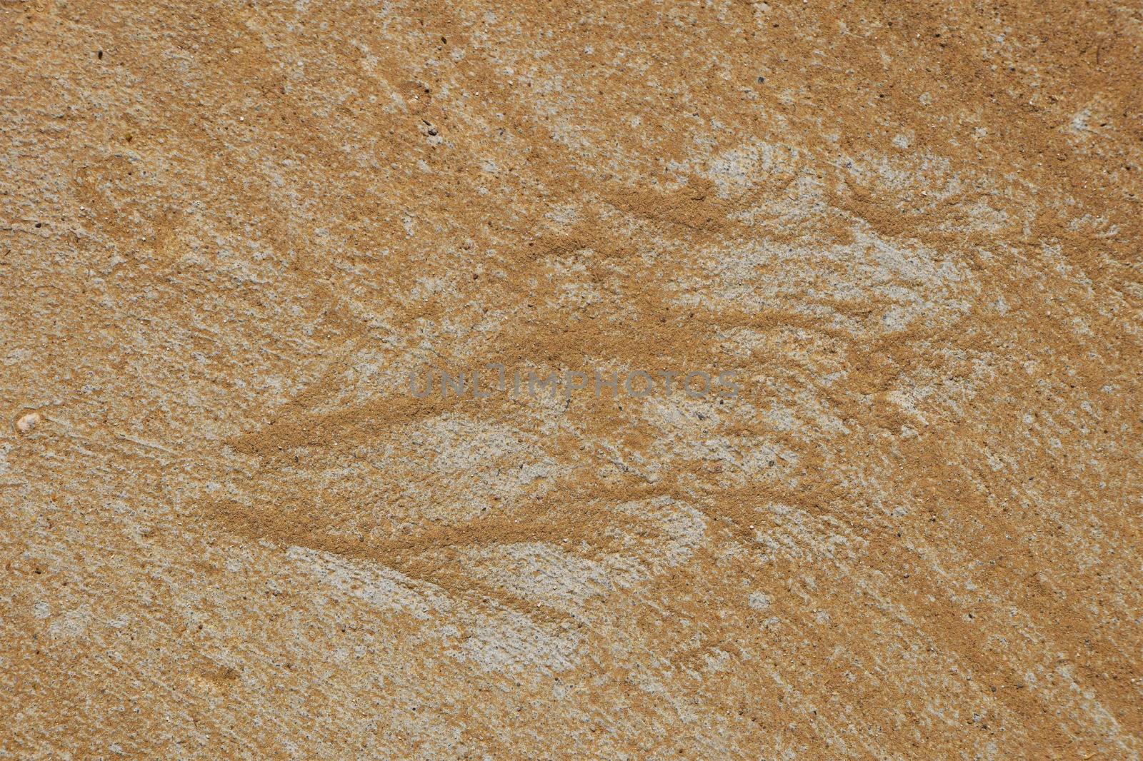 Silhouette of butterfly or bird wing made of sand and gravel by water flow at concrete surface