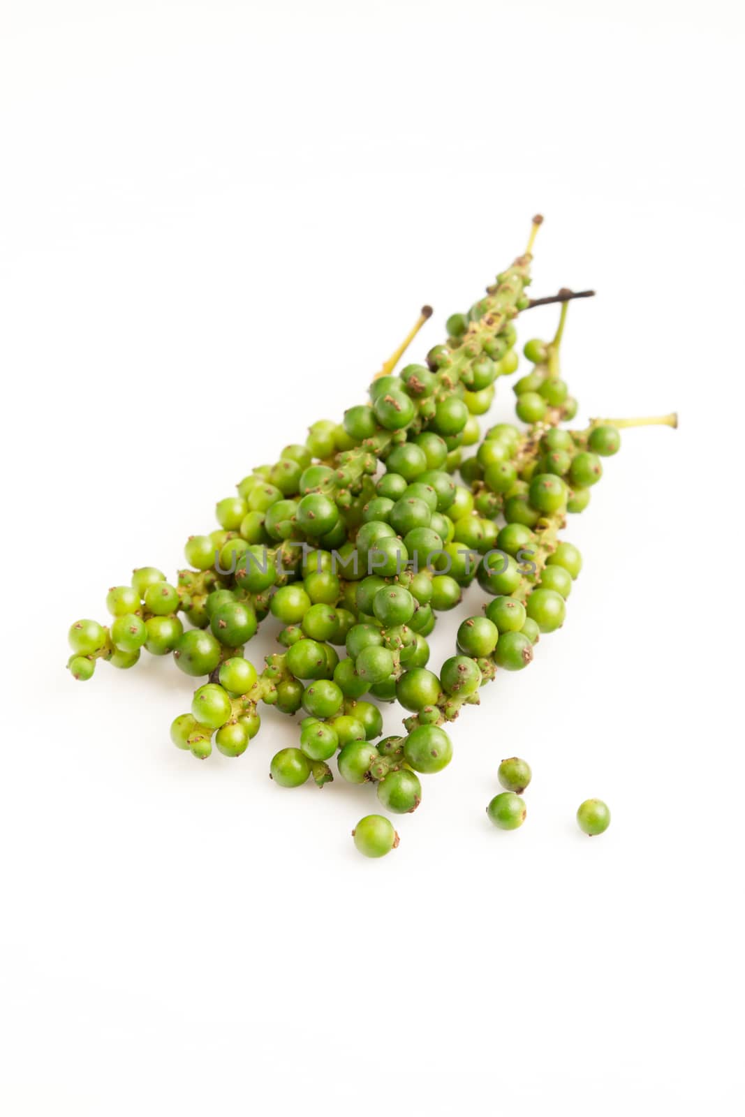 Fresh green pepper (Piper Nigrum) isolated on white background