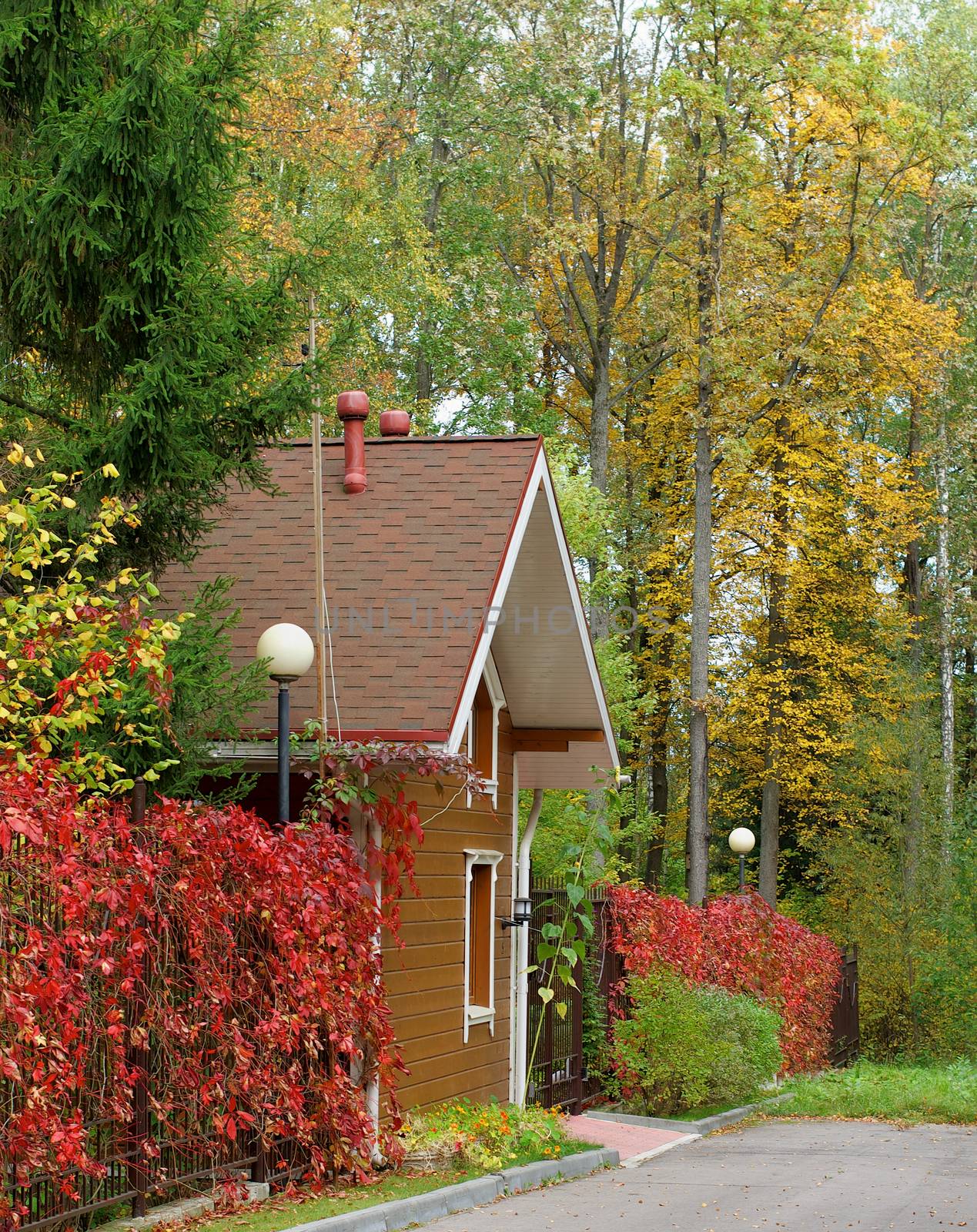 Rustic Cottage House with Fence Twined with Red Leaves Surrounded with Autumn Trees Outdoors