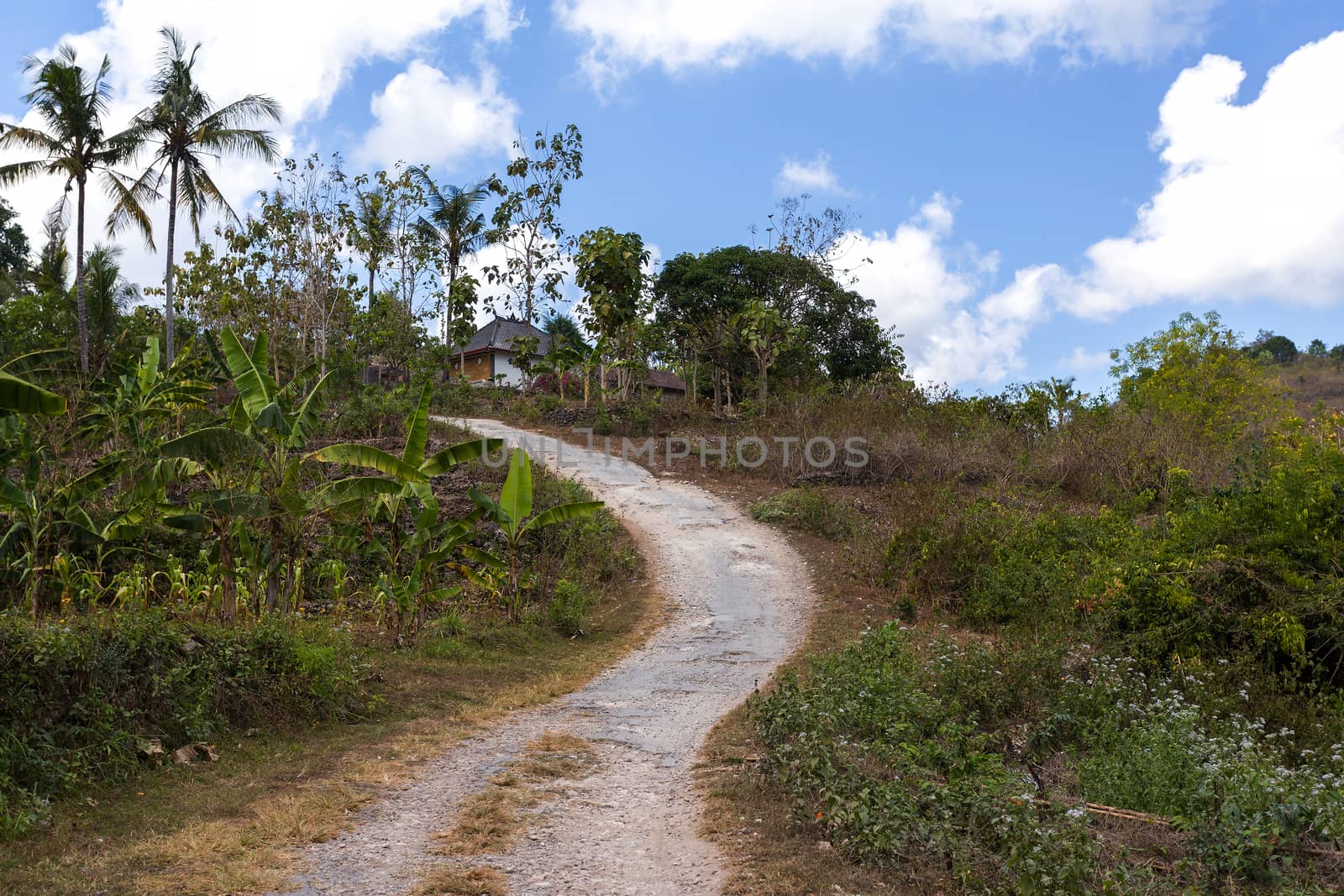 small narrow roand on Nusa Penida Island, Bali Indonesia