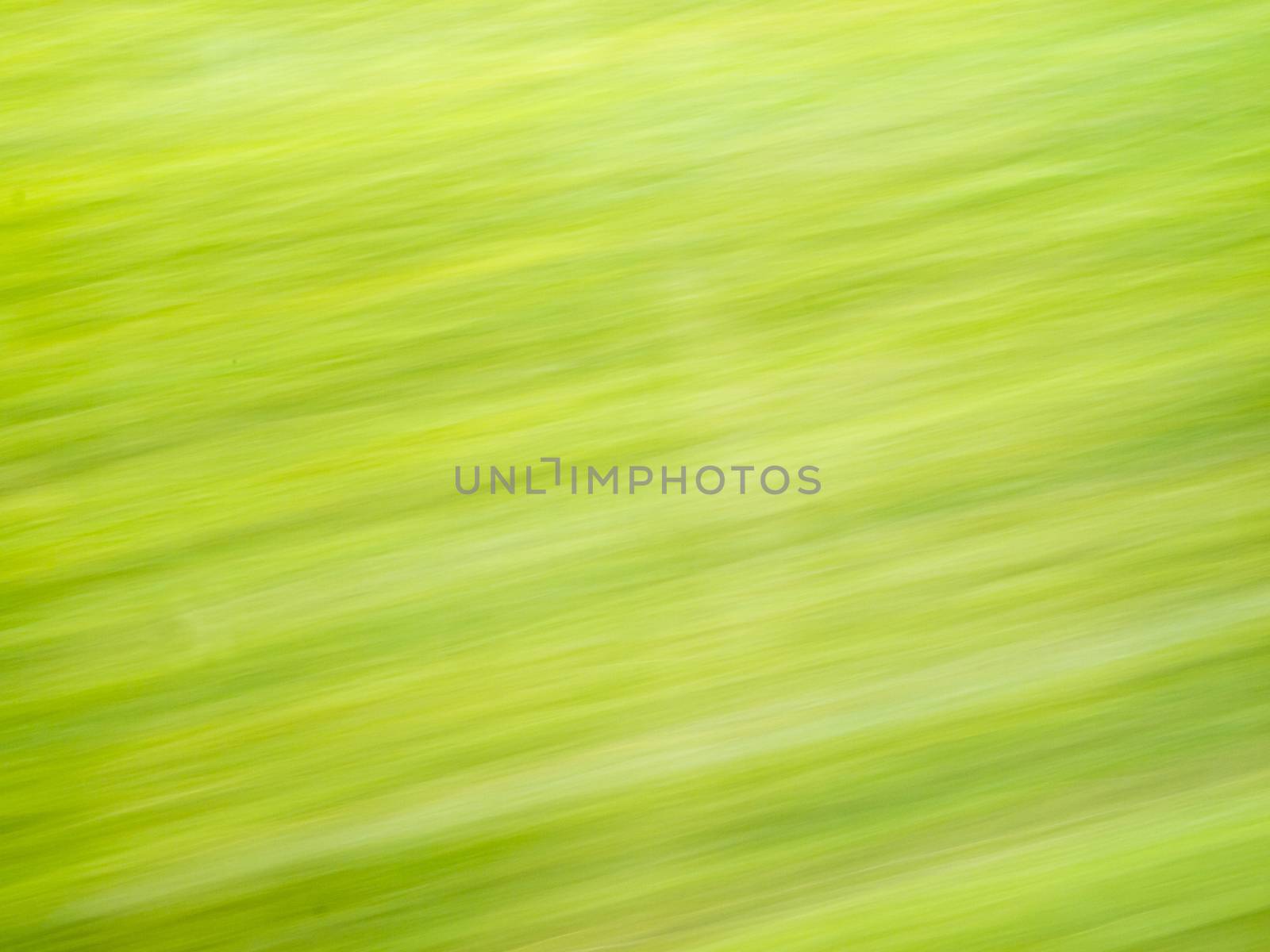 Background texture abstract of blur grass fast moved.