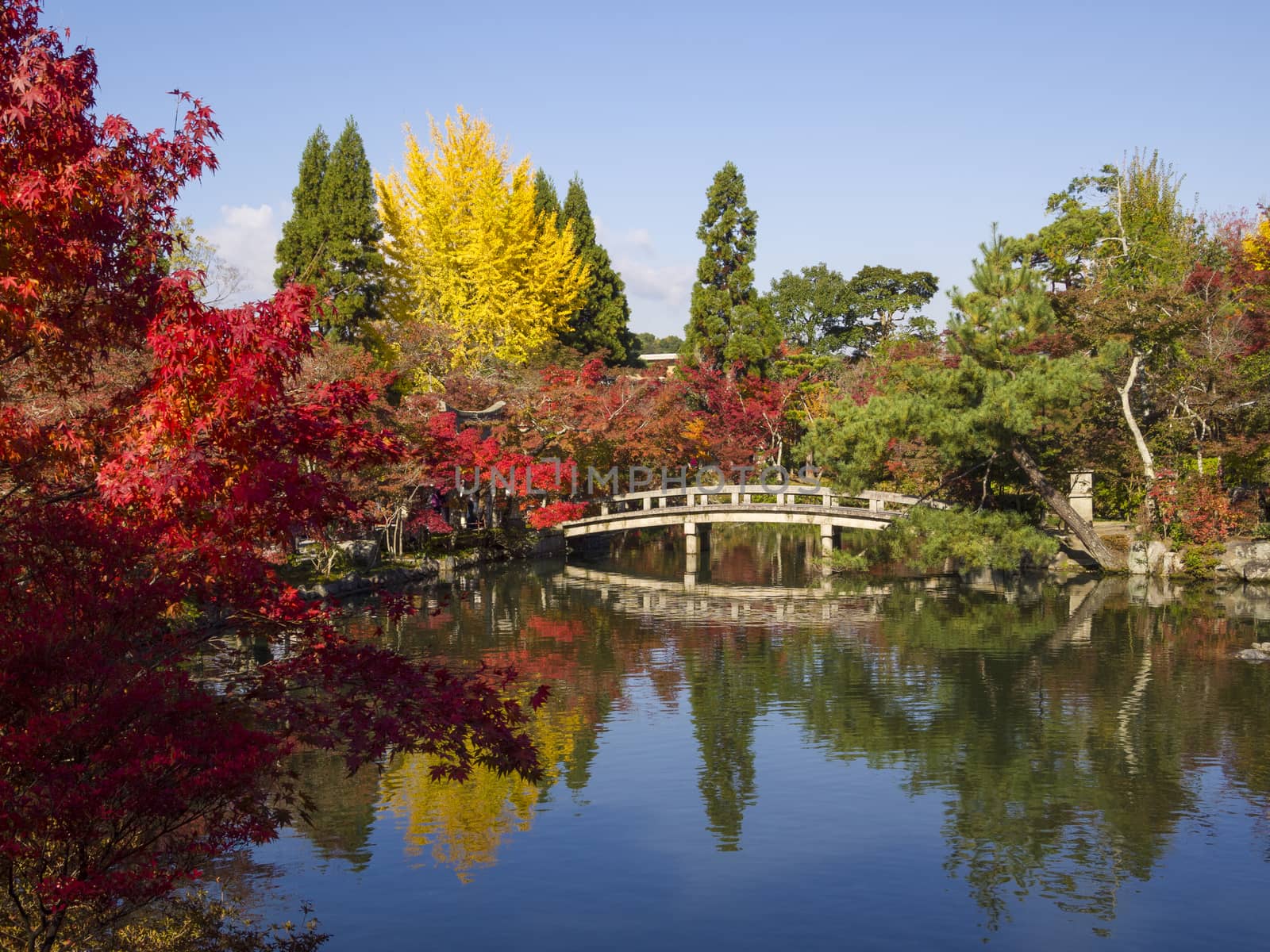 Japanese garden of Eikando Zenrinji temple in autumn, Kyoto, Japan.