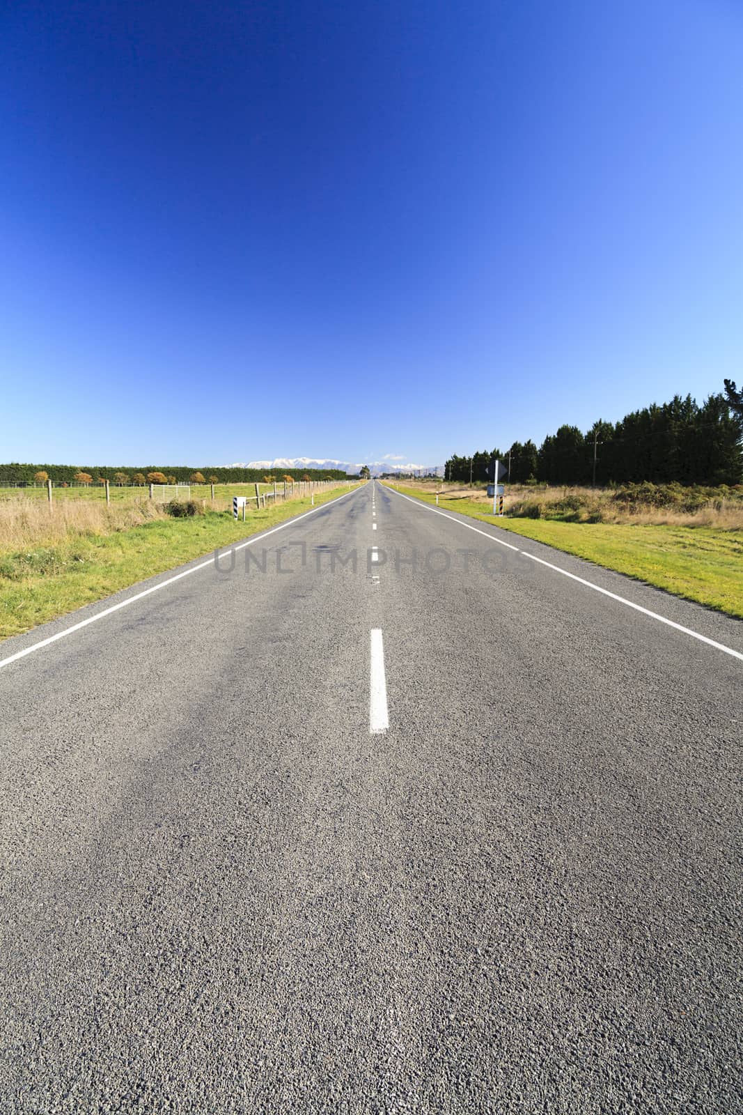 Country Road going to Horizon, Canterbury, South Island, New Zealand.