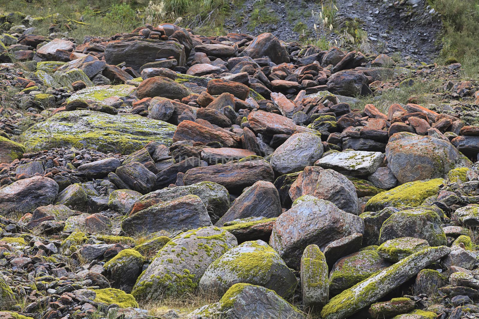 Rockfall pile in the Glacial Valley, Fox Glacier, Westland Tai Poutini National Park, South Island, New Zealand.