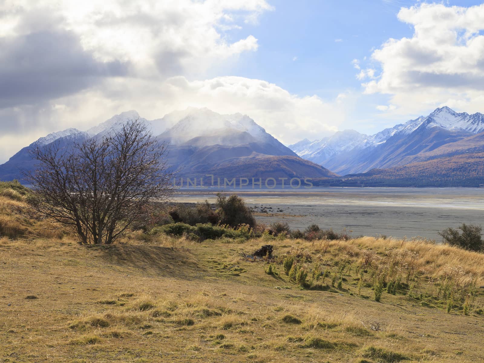 Colorful countryside of tussock valley and mountains near Mt.Cook, Aoraki Mount Cook National Park, South Island, New Zealand.