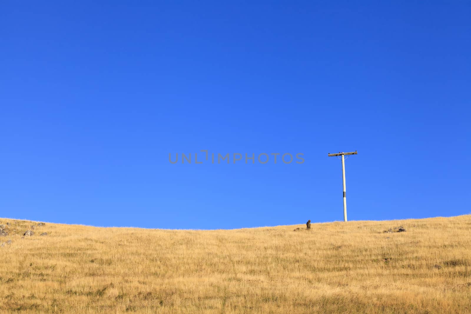 Electricity post in tussock hill. by mrpeak