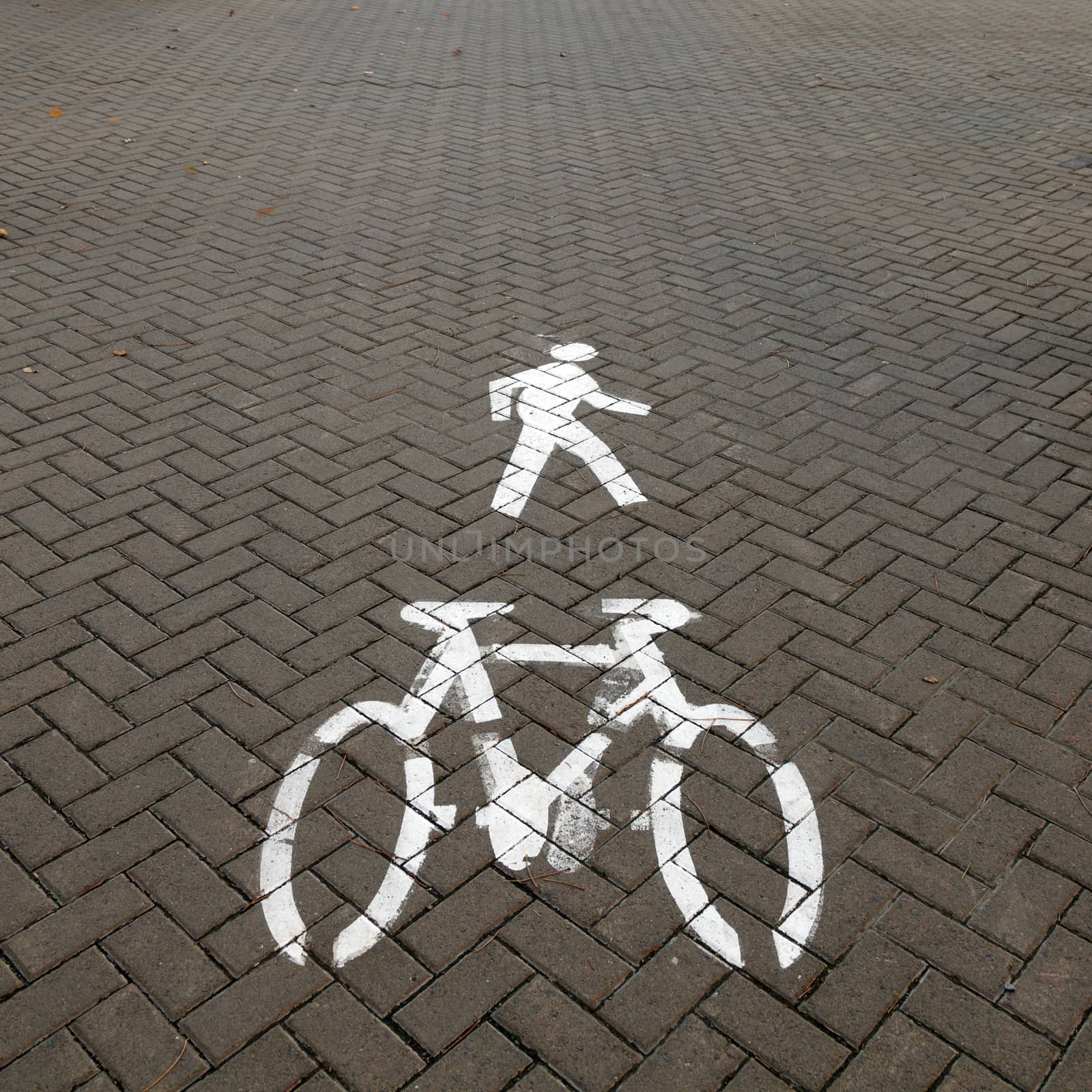 Painted sign for bikes and pedestrian. by mrpeak