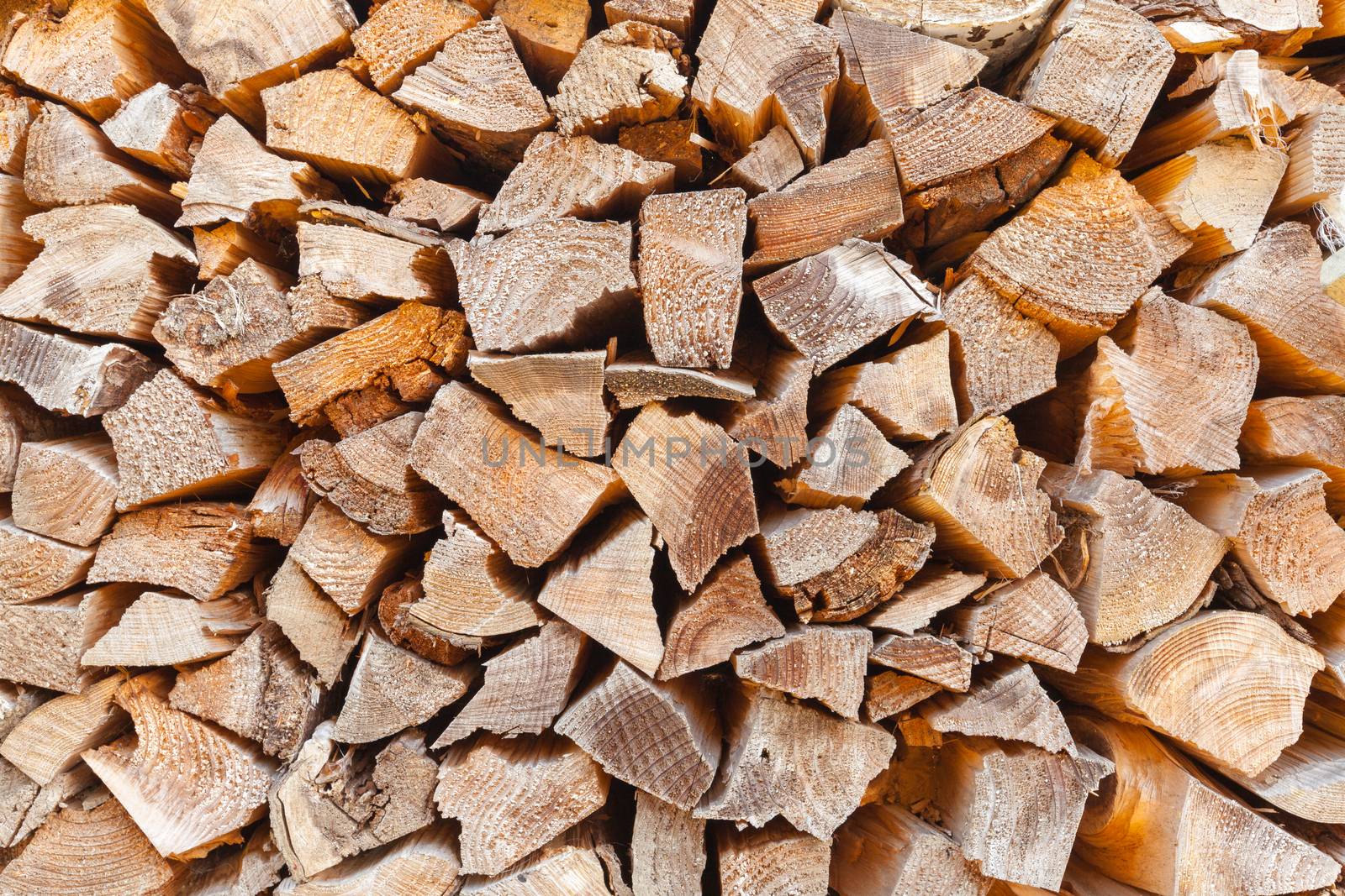 Pile of freshly cut tree logs show wood texture.