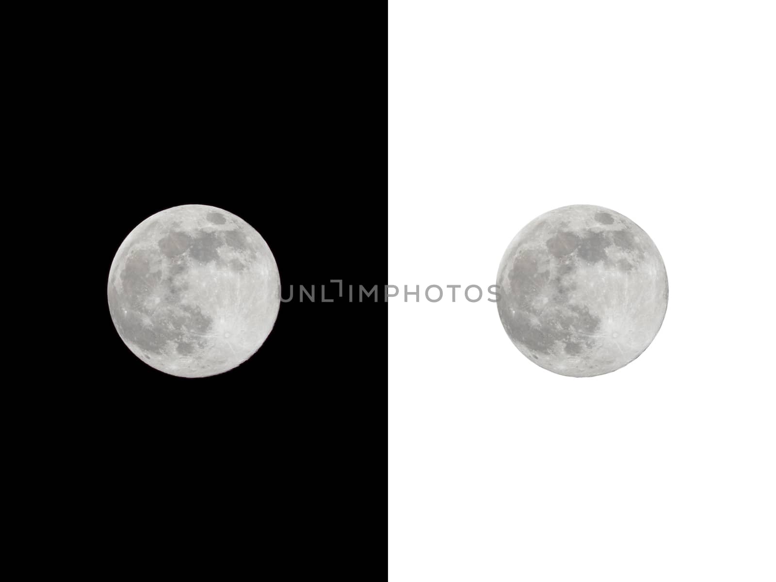 Full moon isolated on black and white background.