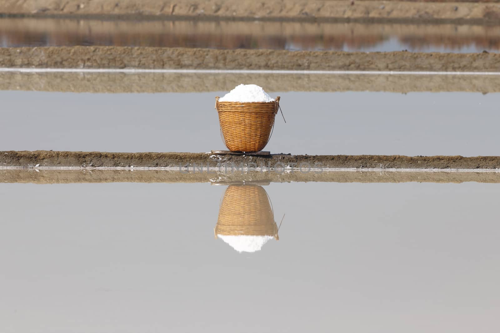Sea salt in the bamboo basket and its reflection on salt farm.