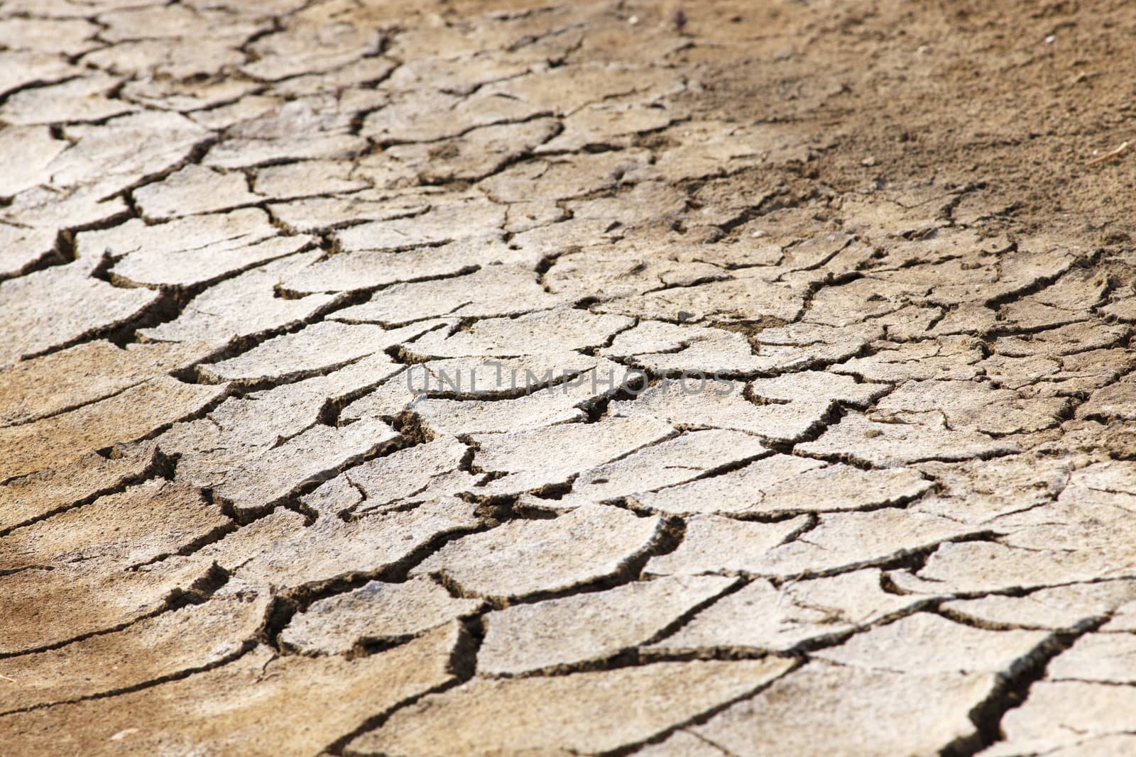 Dry field cracked covered with salt. Perspective background. Selective focus.