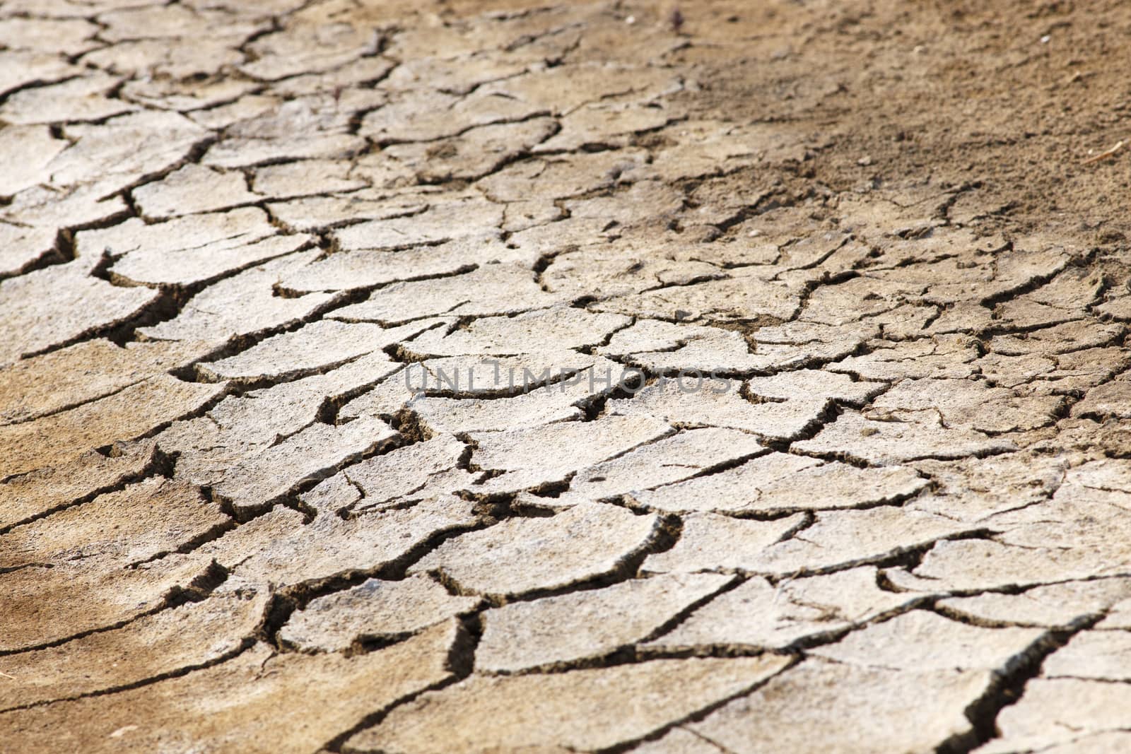 Dry salt field cracked. by mrpeak