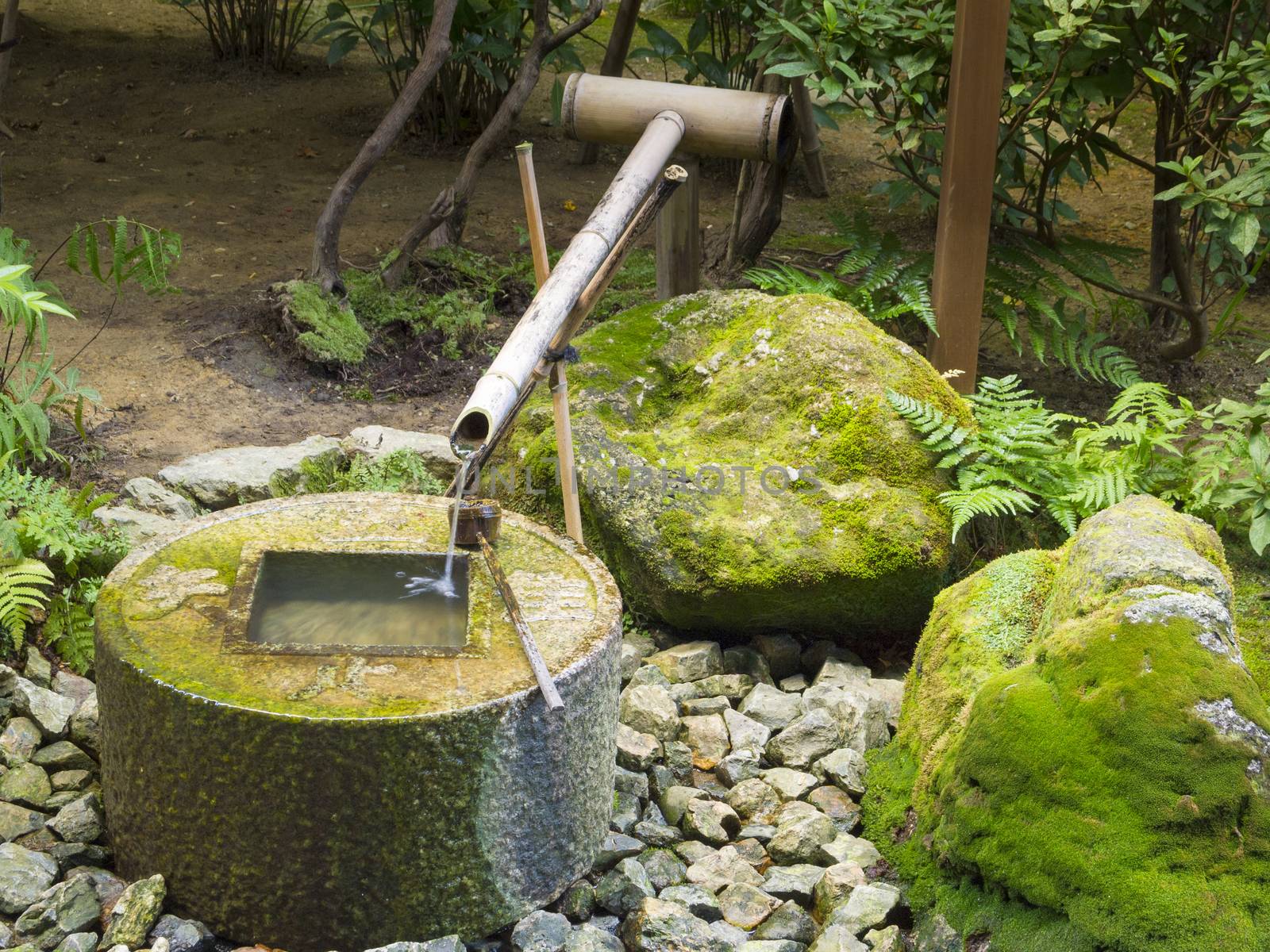 Japanese style traditional bamboo fountain at Ryoan-ji temple, Kyoto, Japan.