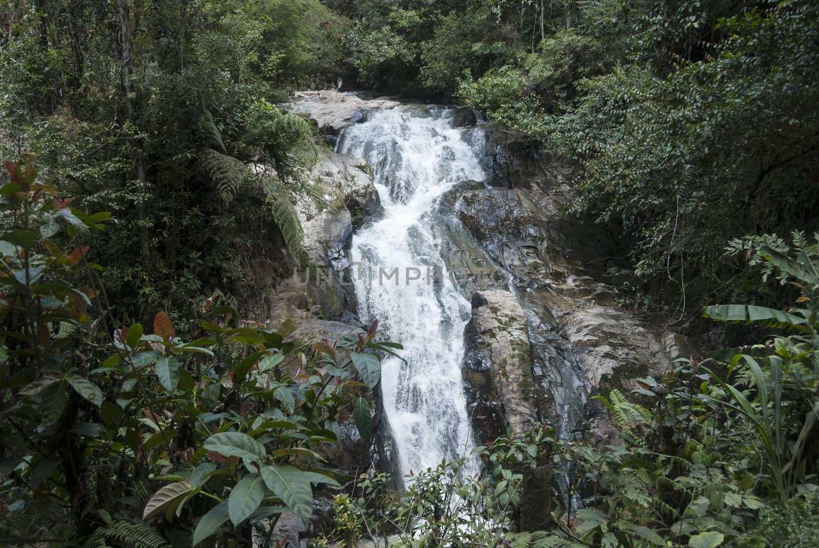 tropical waterfall in Malasia rain forest