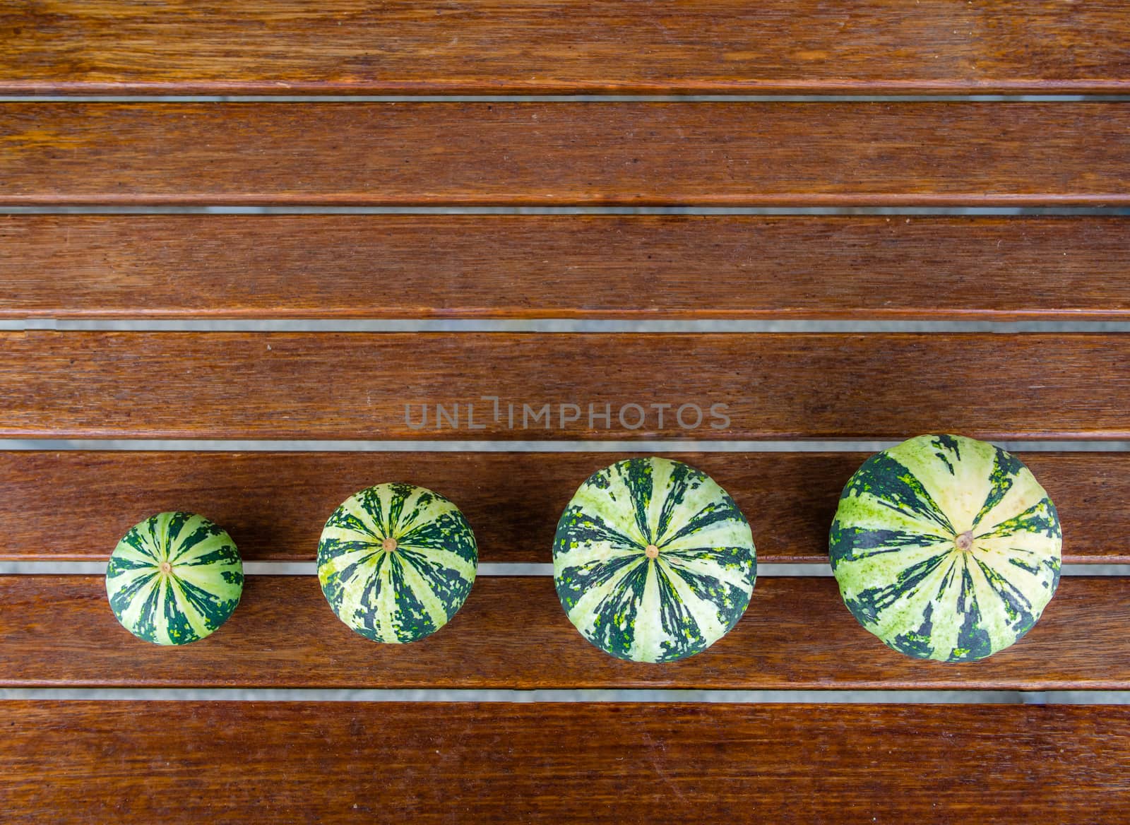 Still life with variety of green pumpkins cucurbita pepo arranged in a row on wooden table with a copyspace, useable as seasonal autumn harvest Halloween housing decoration illustration