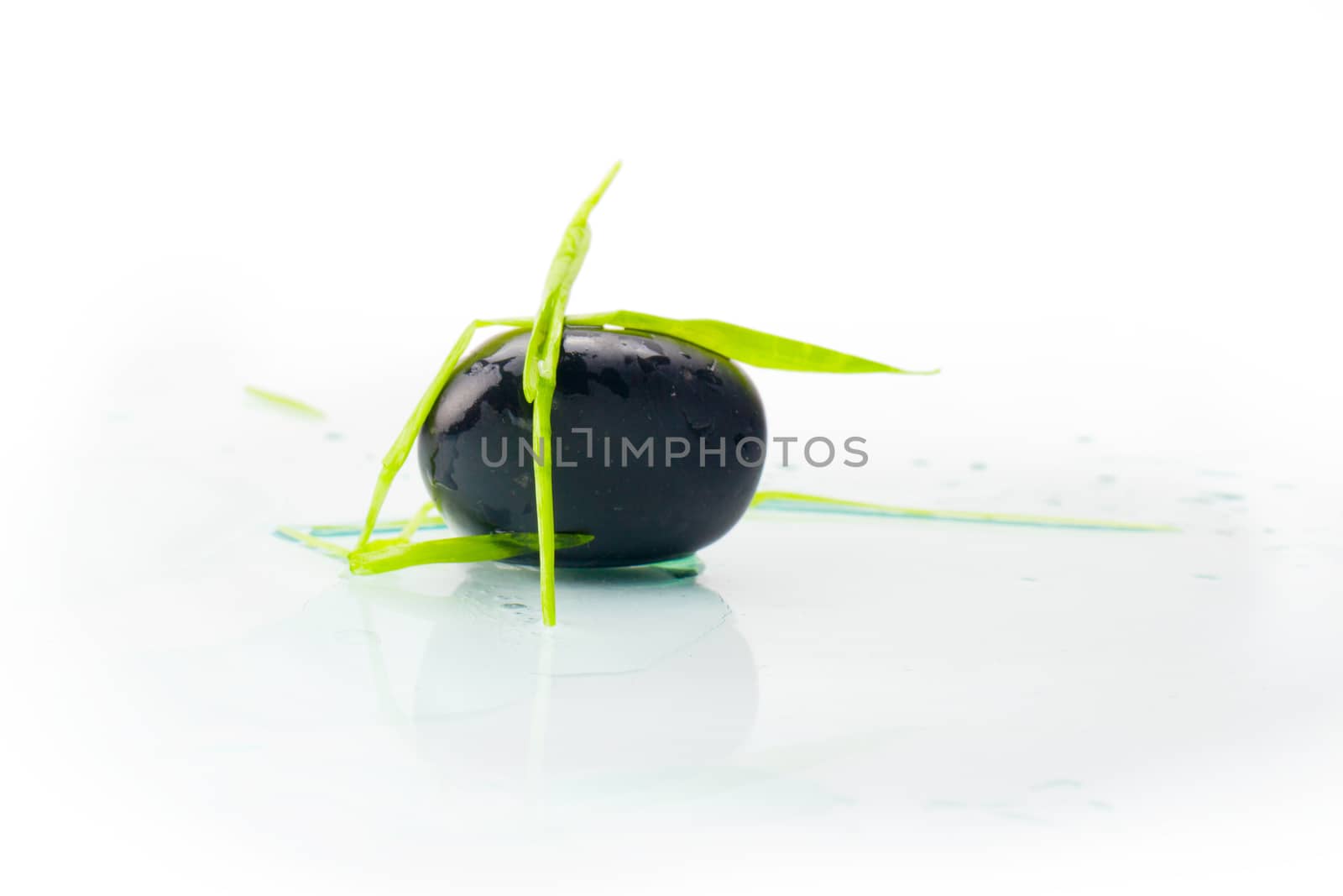 stone in the grass on white background