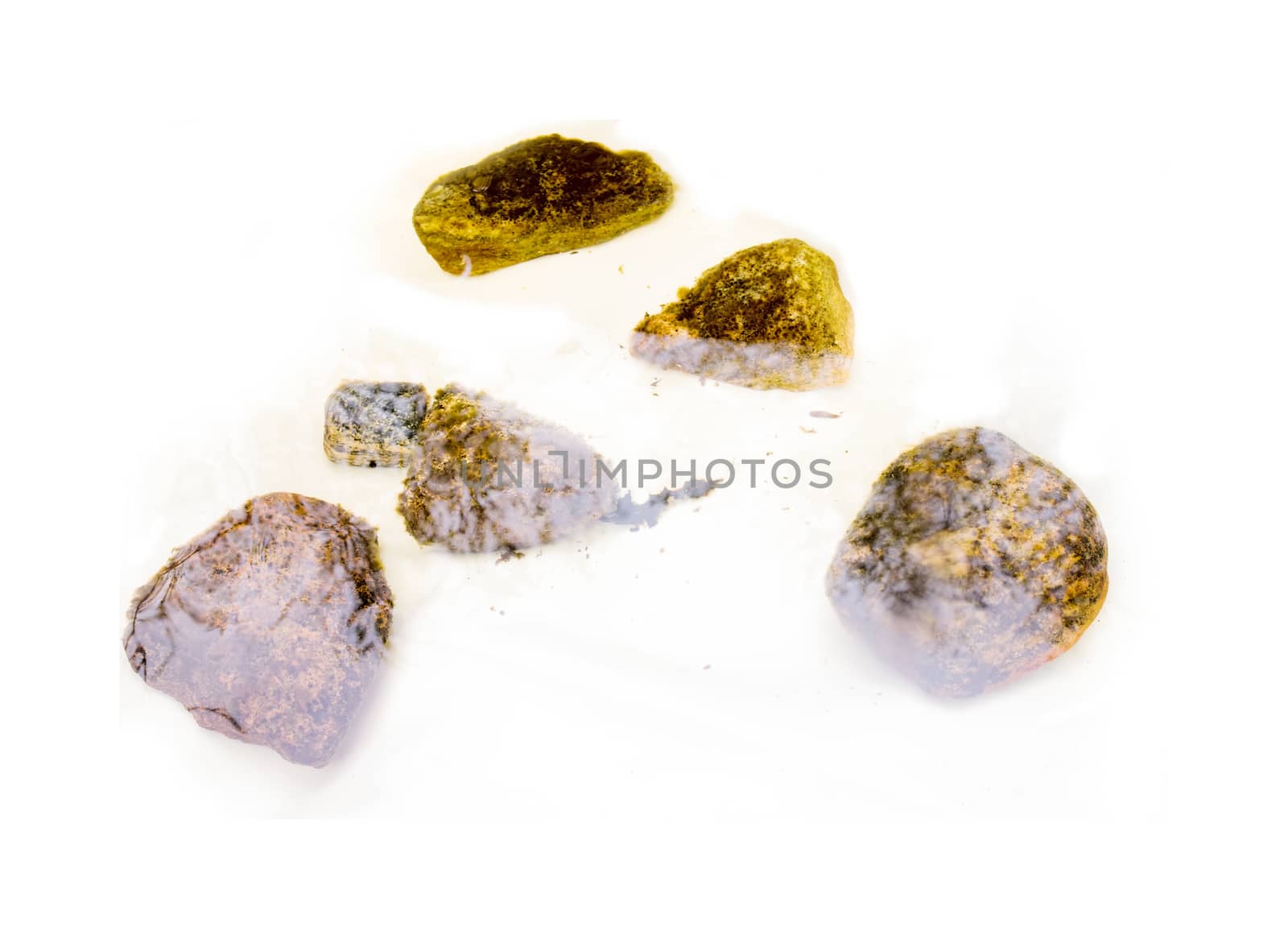 isolated rocks under water in the creek