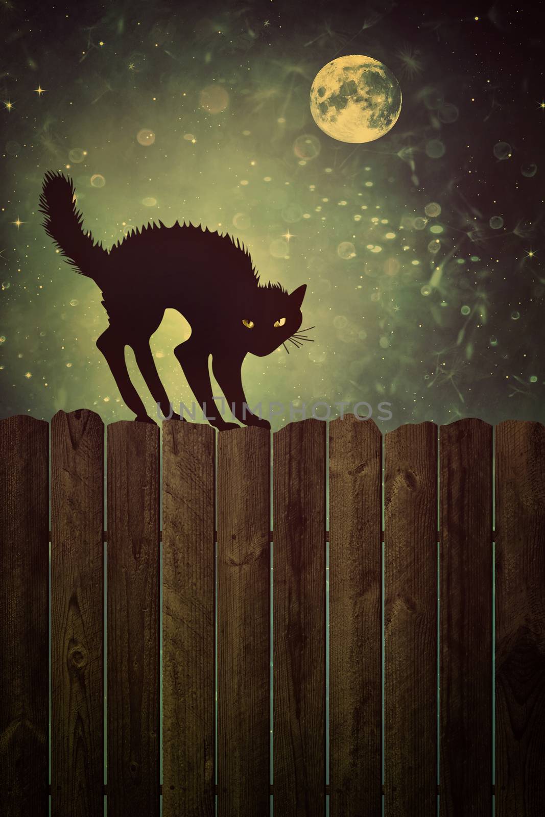 Black cat on fence at  night with vintage look by Sandralise