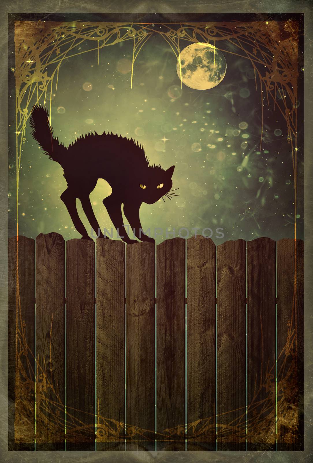 Black cat on fence with vintage look by Sandralise