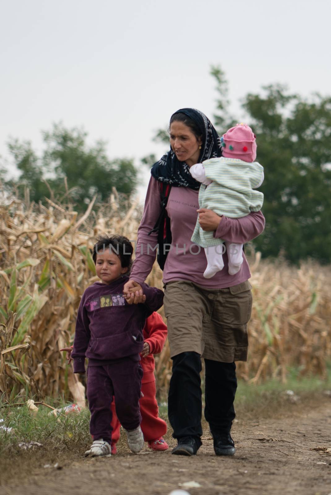SERBIA, Berkasovo: A family of Middle Eastern refugees cross fields in the Serbian town of Berkasovo, on the border with Croatia on September 24, 2015. 